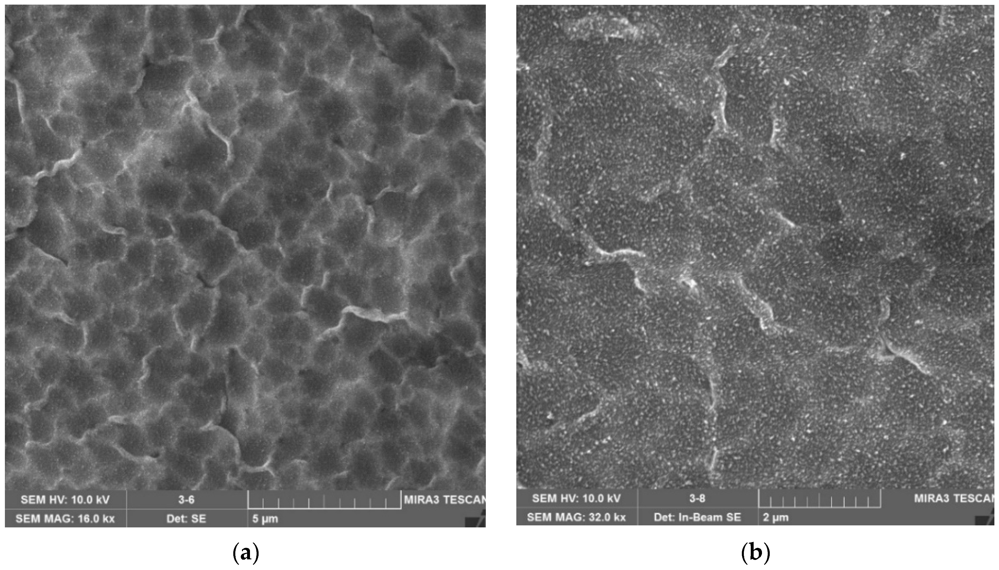 Coatings 12 01267 g016