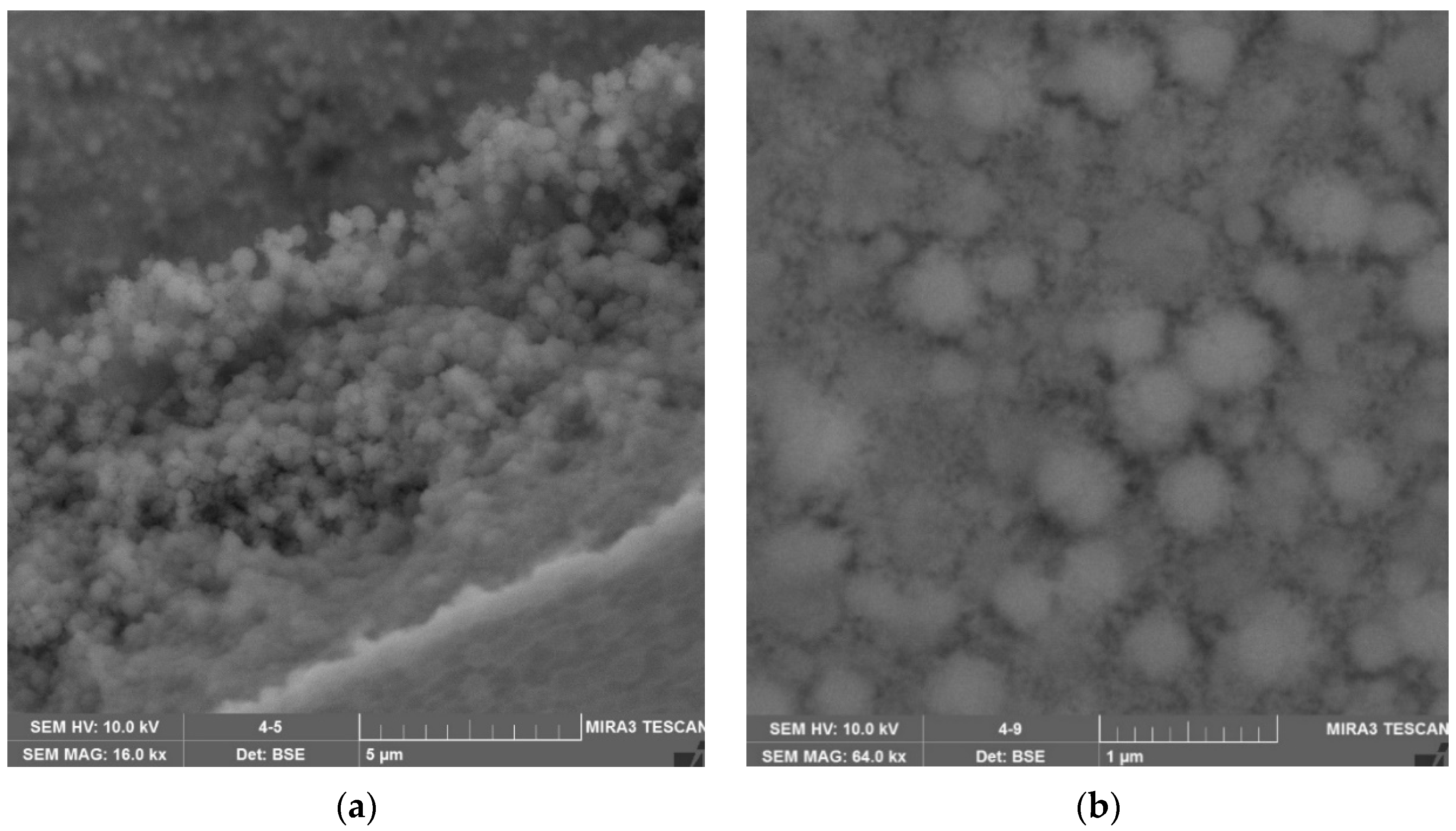 Coatings 12 01267 g017