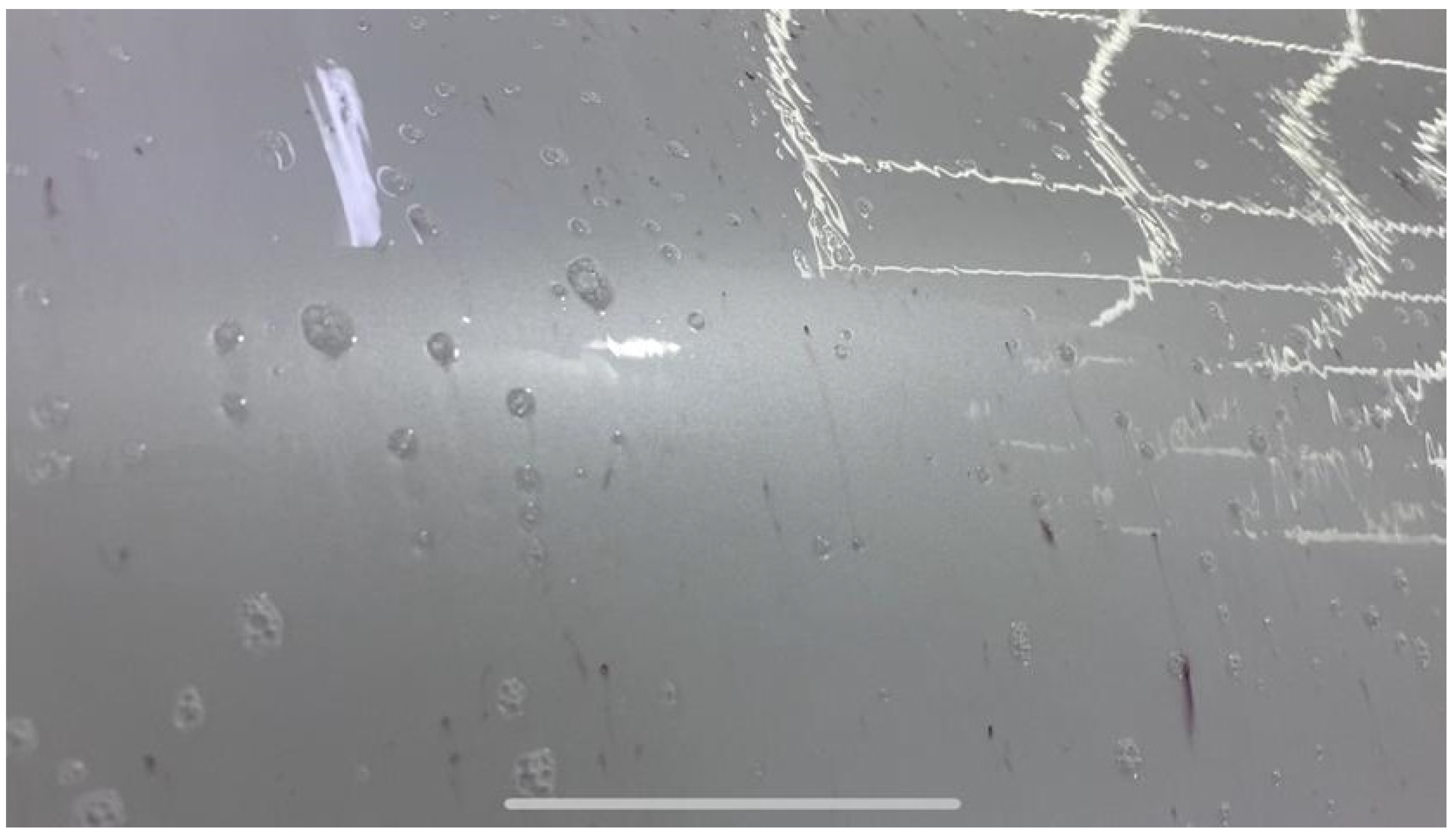 Coatings 12 01267 g024