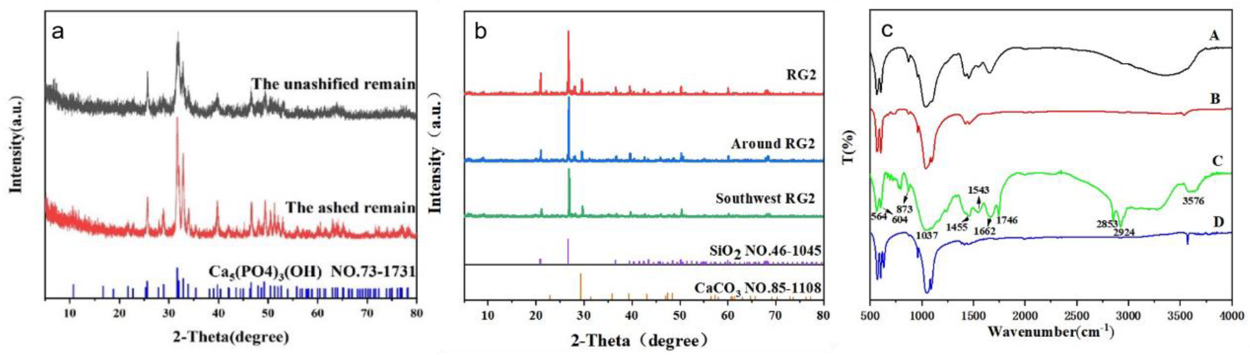 Coatings 12 01269 g006