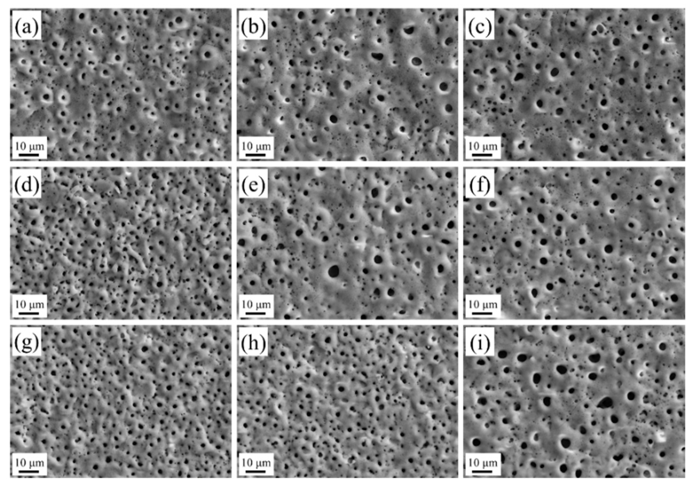 Coatings 12 01286 g001
