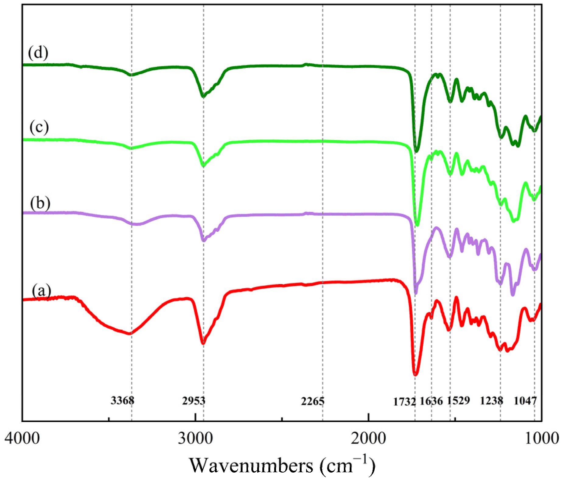 Coatings 12 01293 g003