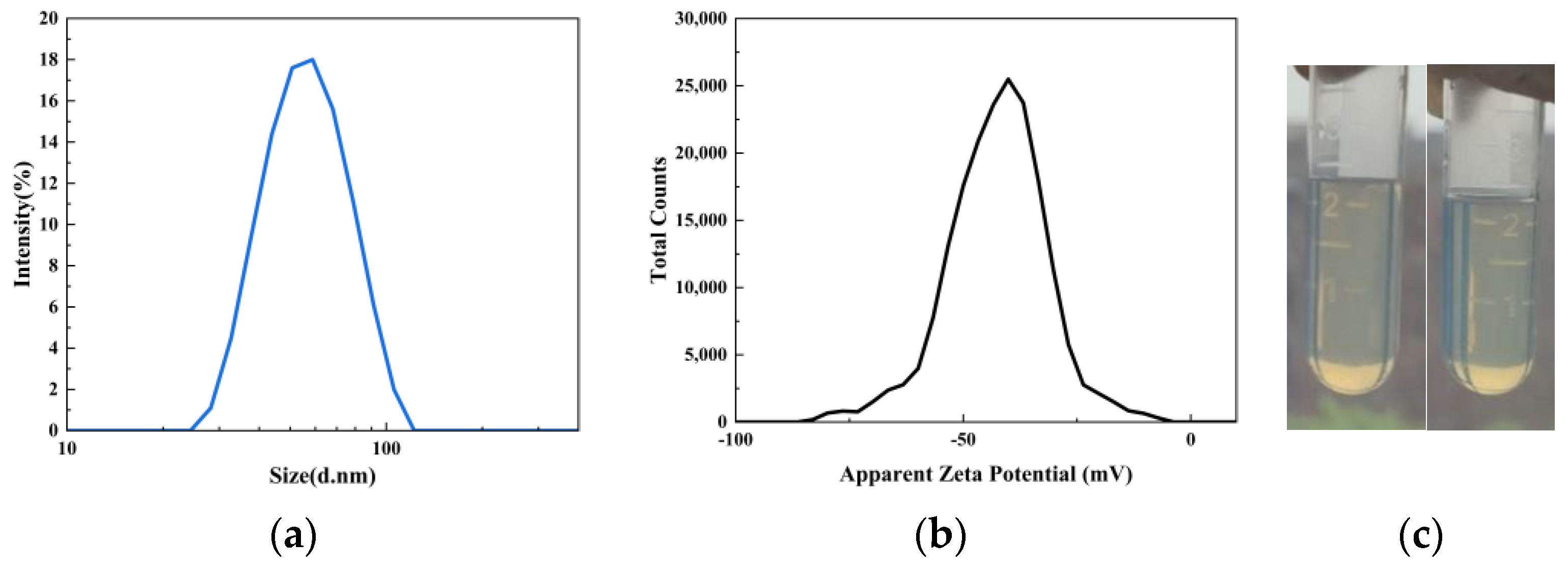 Coatings 12 01293 g004