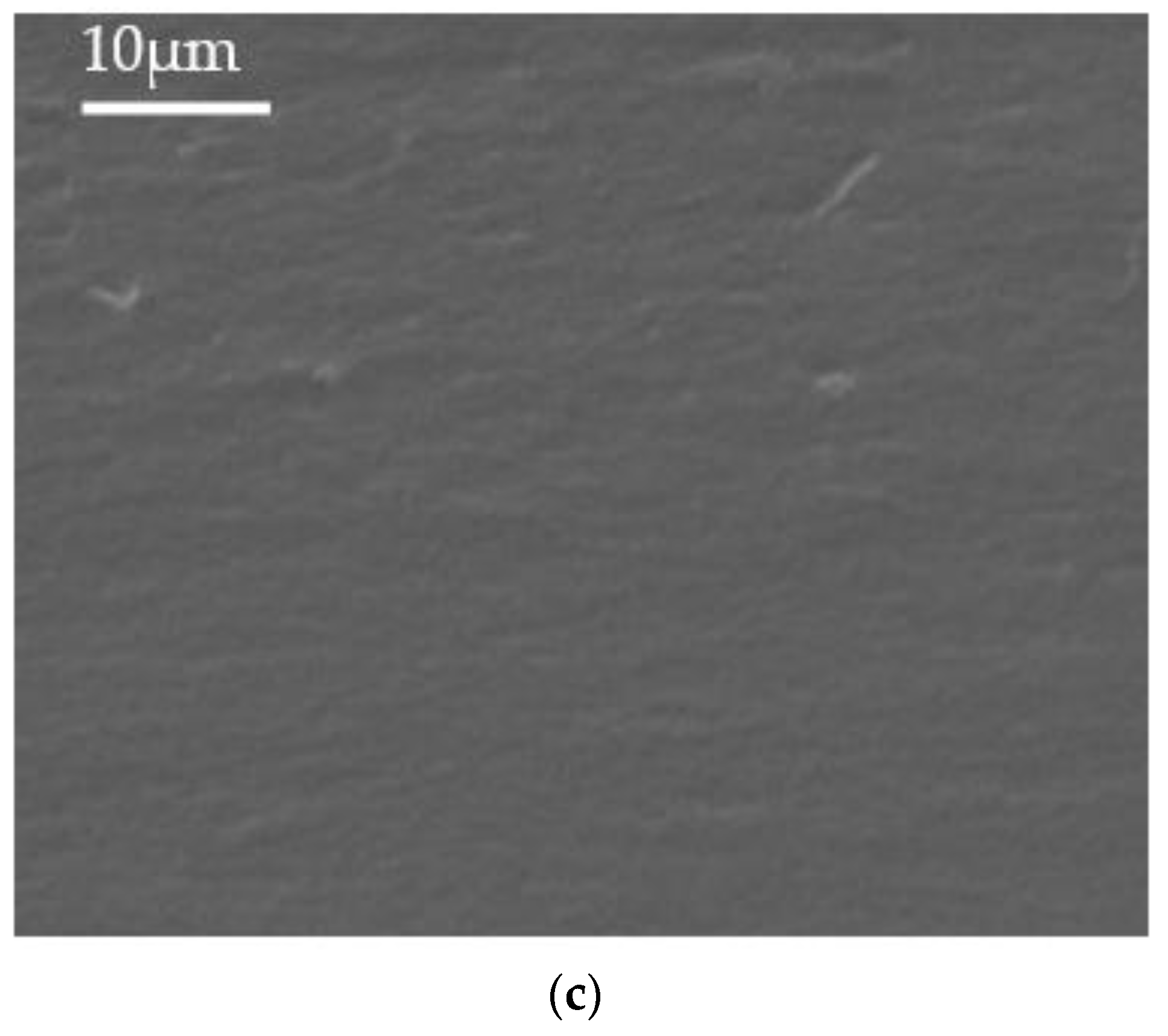 Coatings 12 01293 g008b