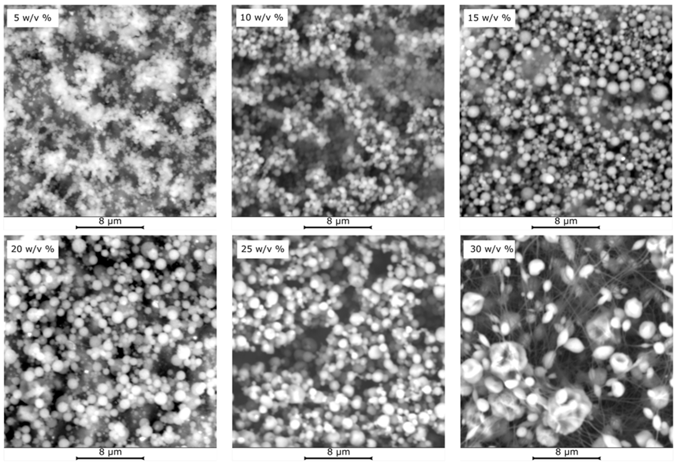 Coatings 12 01310 g002 Coatings 12 01310 g002