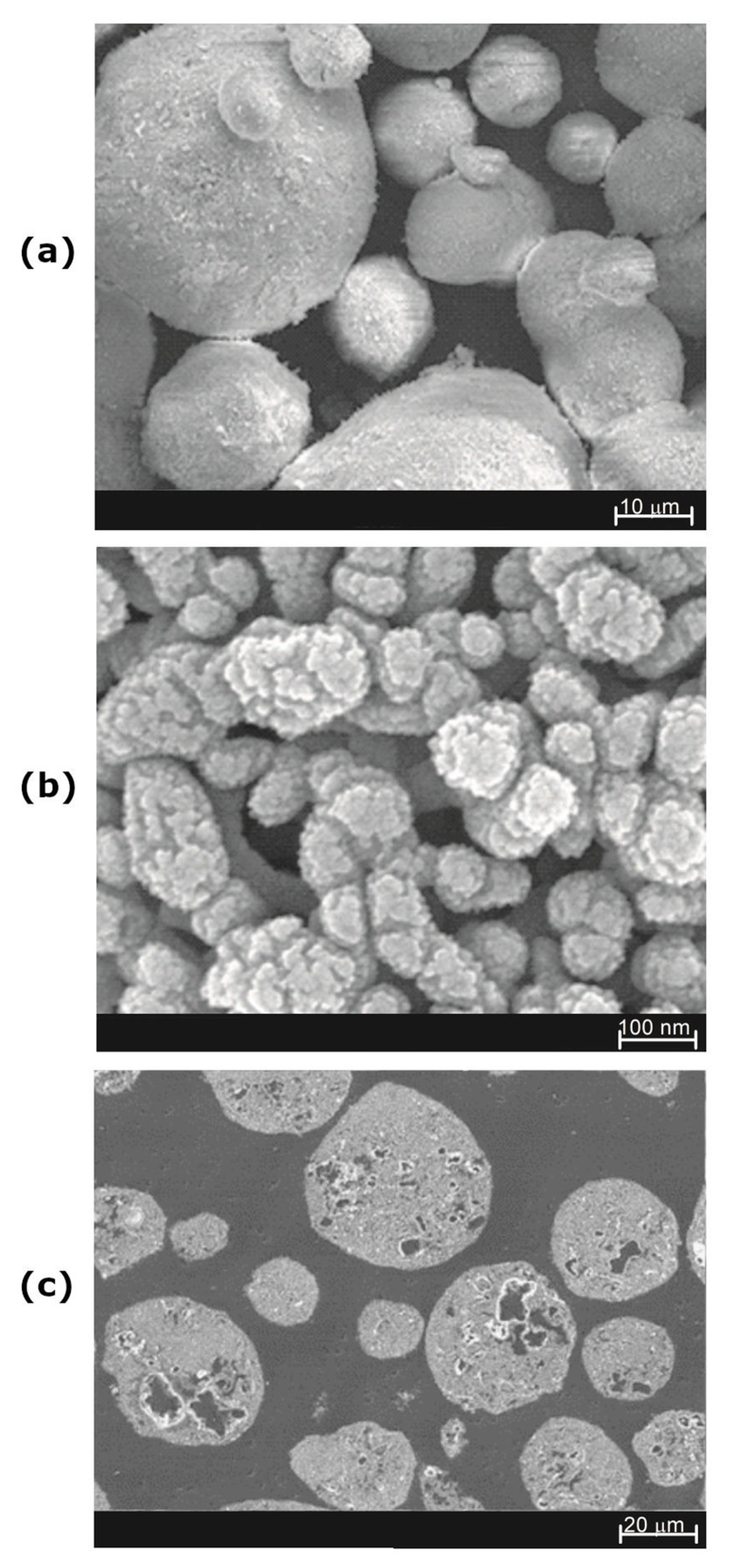 Coatings 12 01317 g002