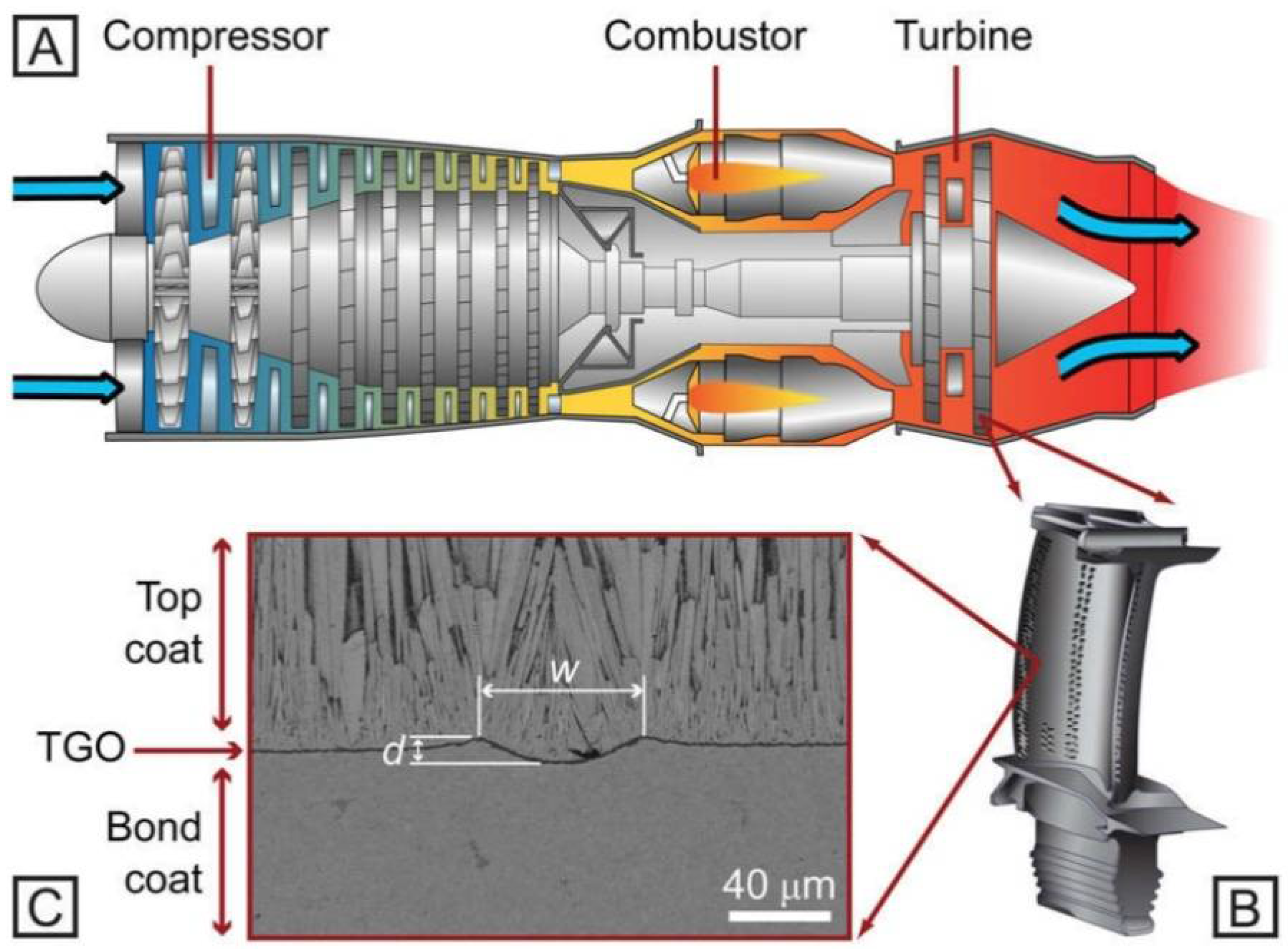 Coatings 12 01318 g001