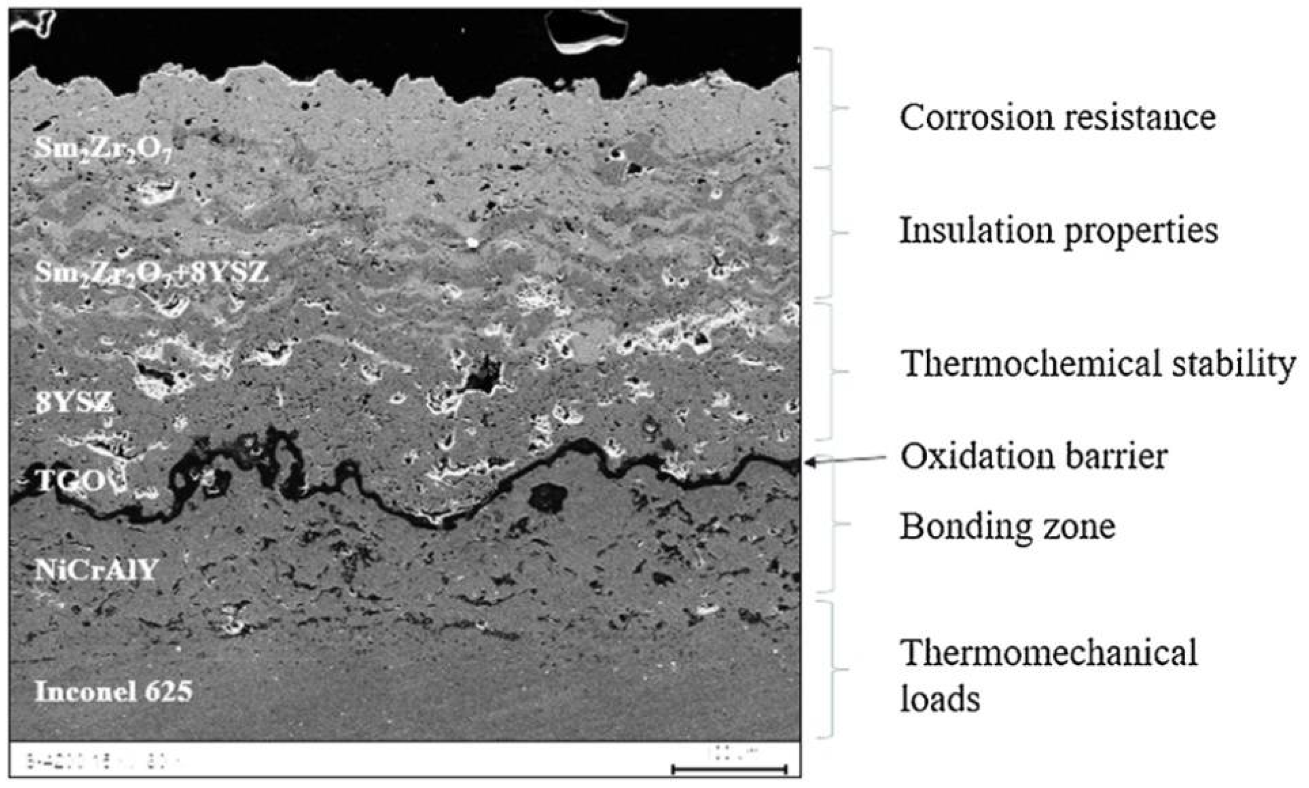 Coatings 12 01318 g011