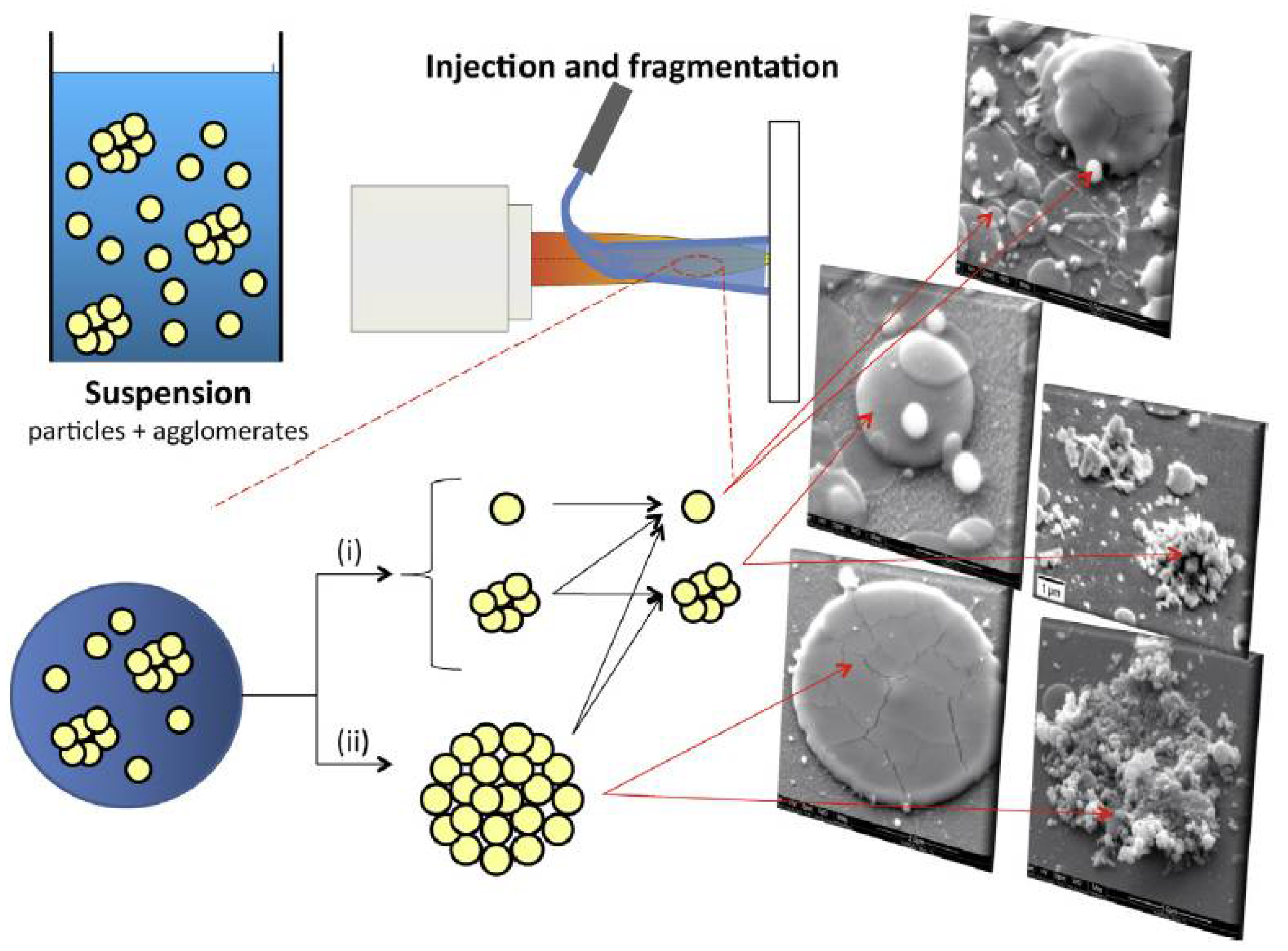 Coatings 12 01318 g013