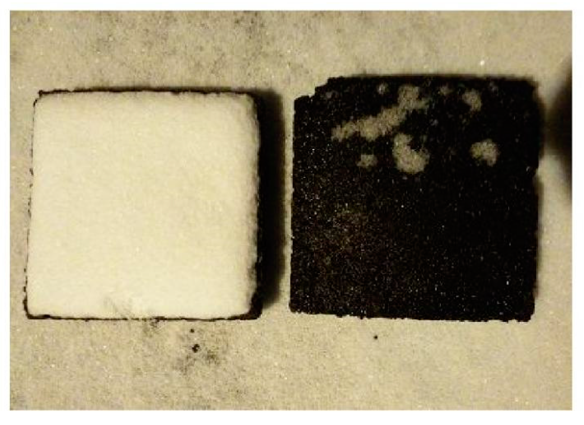 Coatings 12 01323 g009