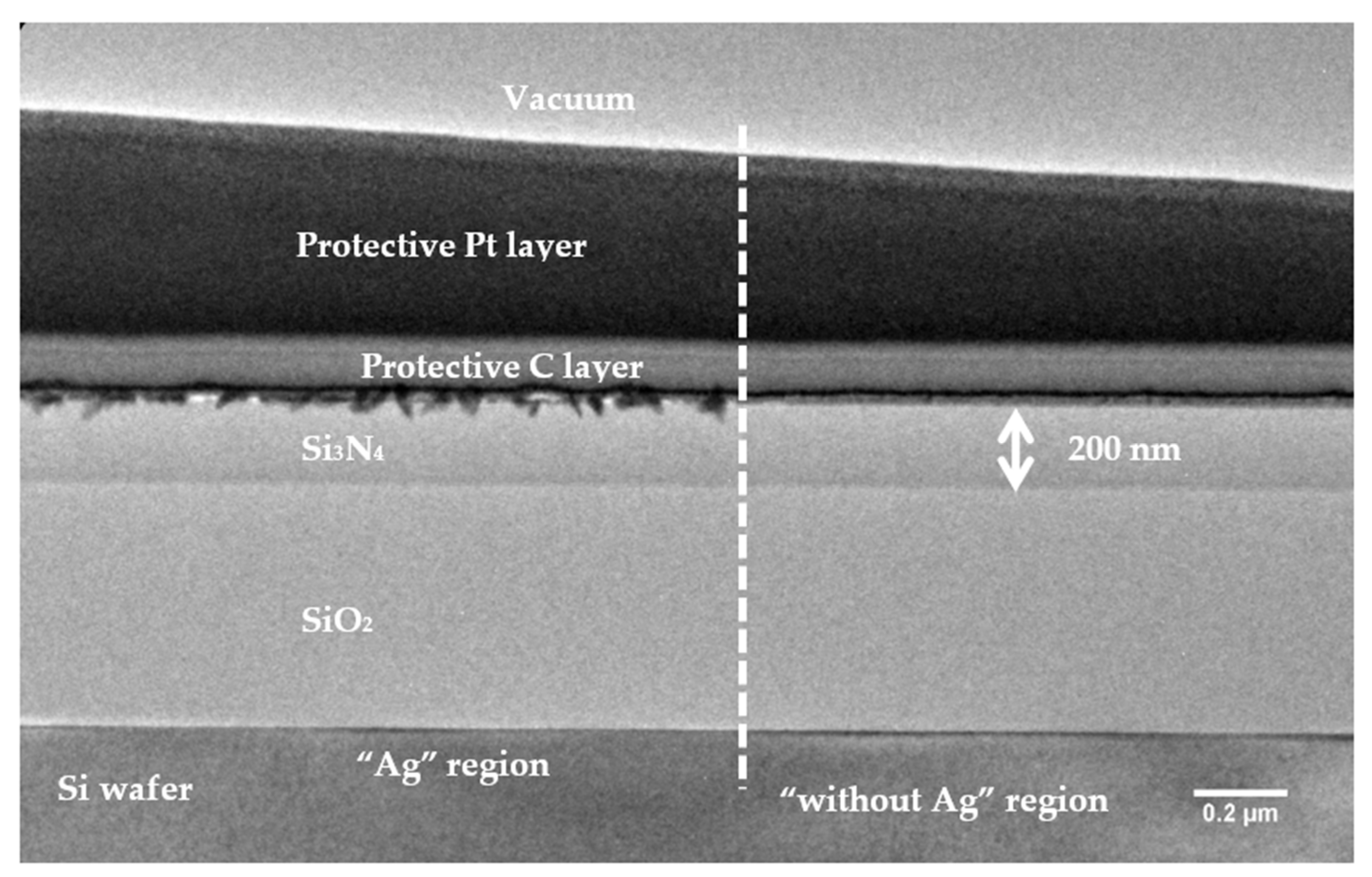 Coatings 12 01324 g007