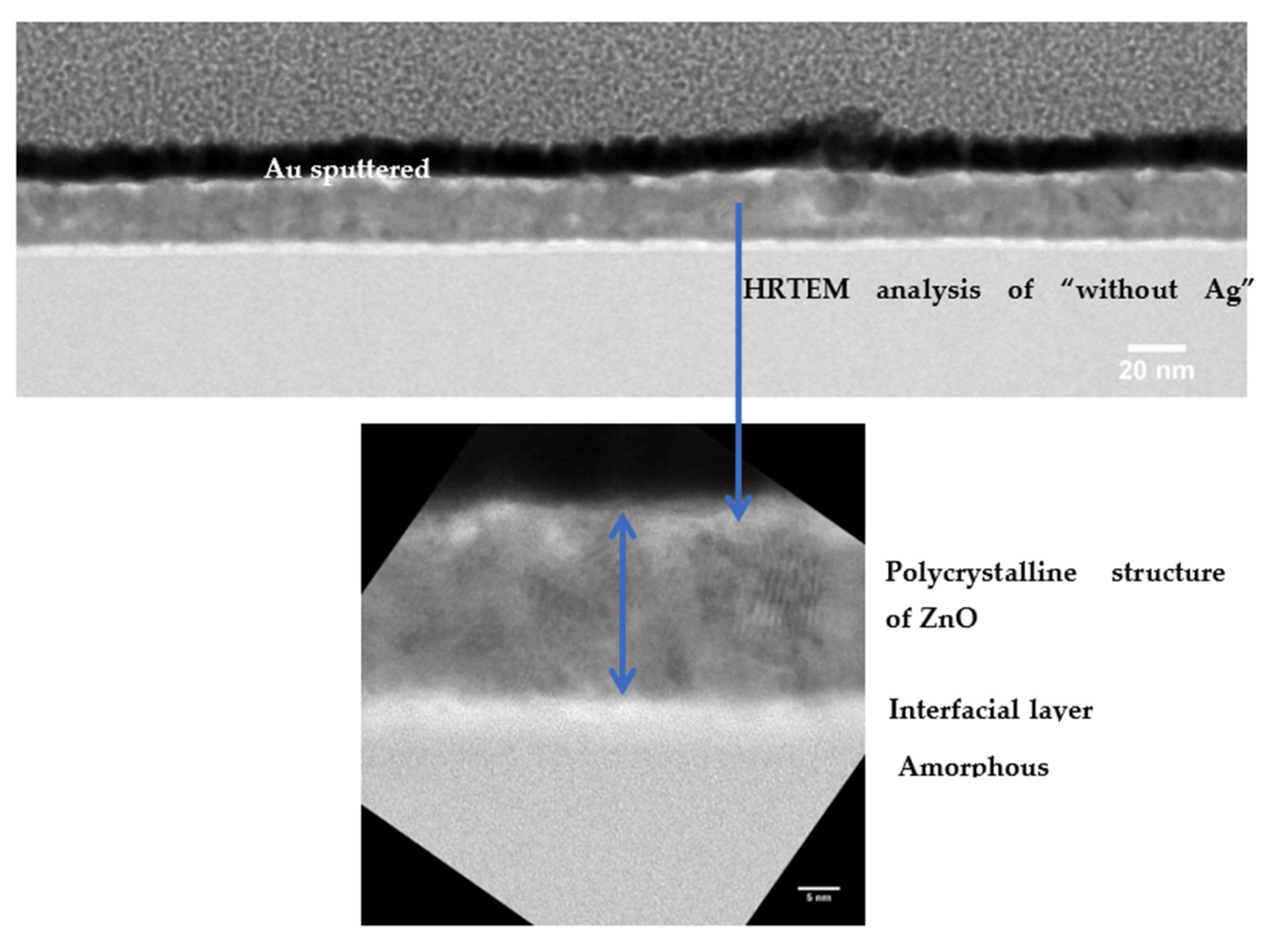 Coatings 12 01324 g008