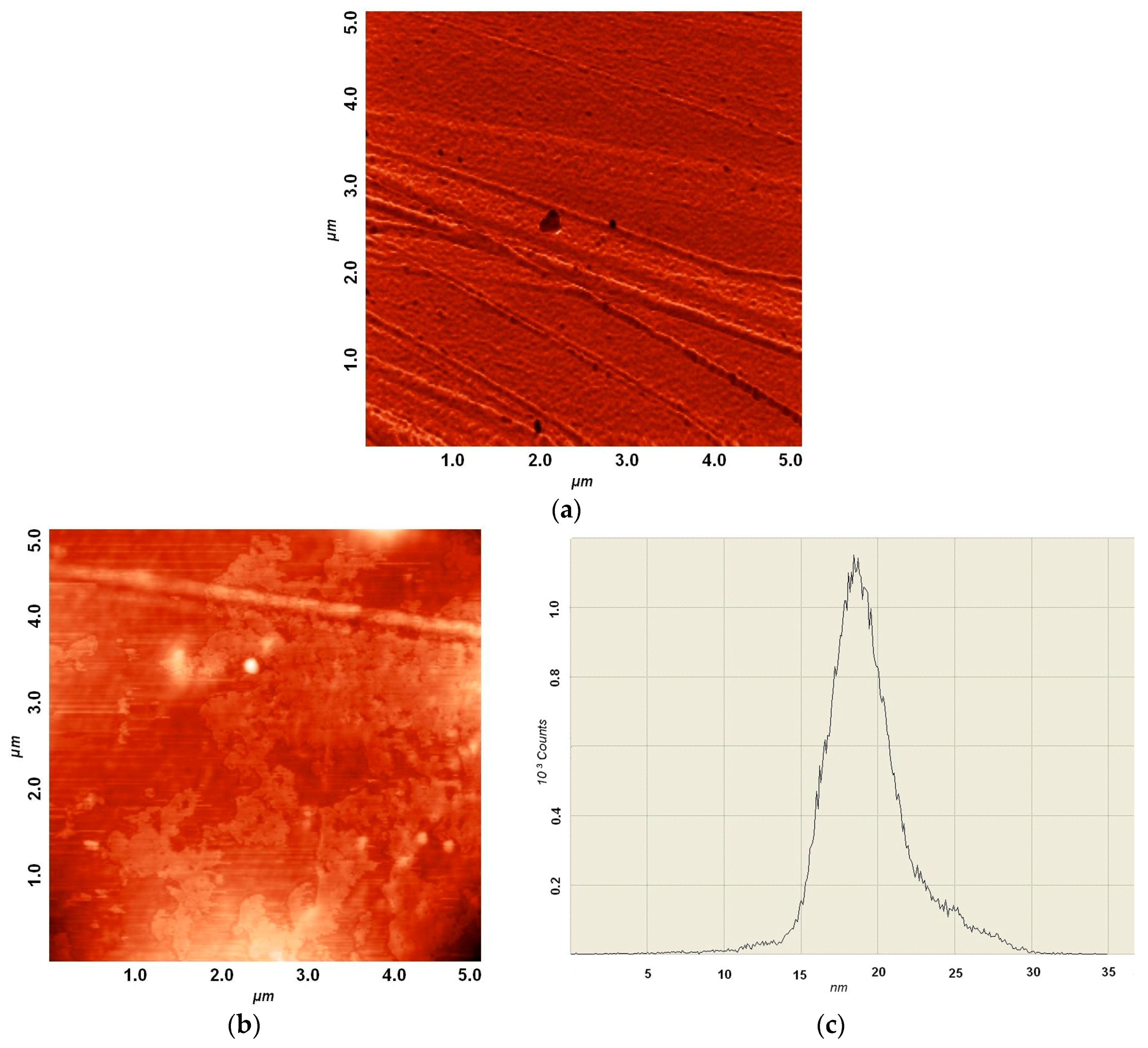 Coatings 12 01334 g004a