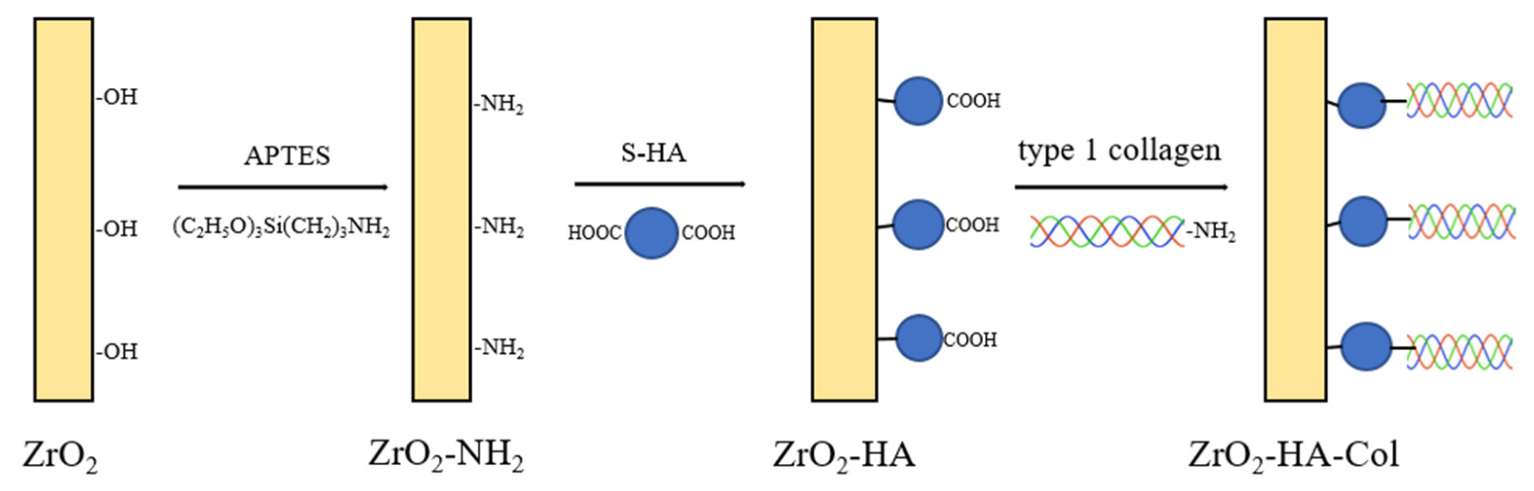 Coatings 12 01335 g002