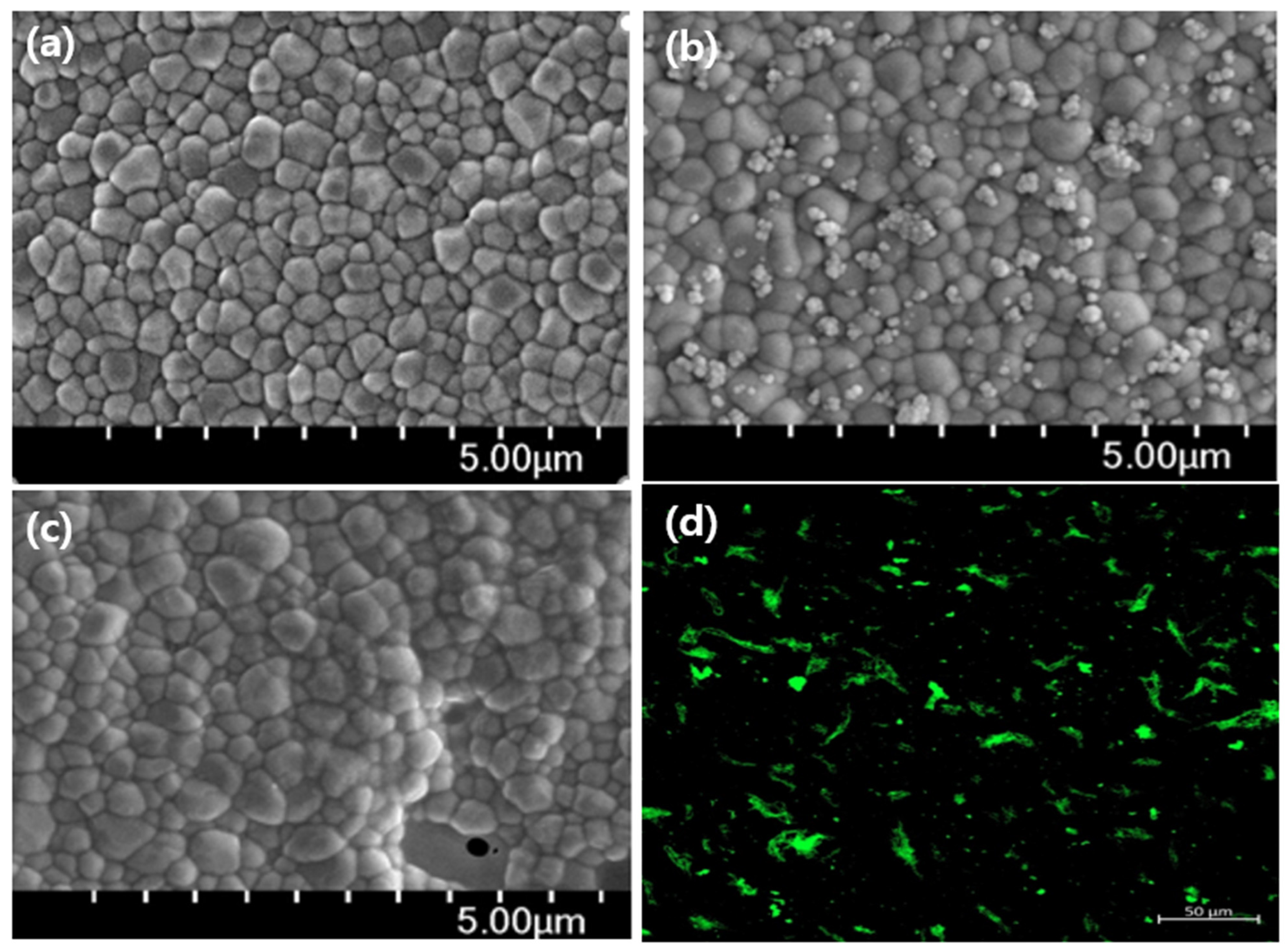 Coatings 12 01335 g007