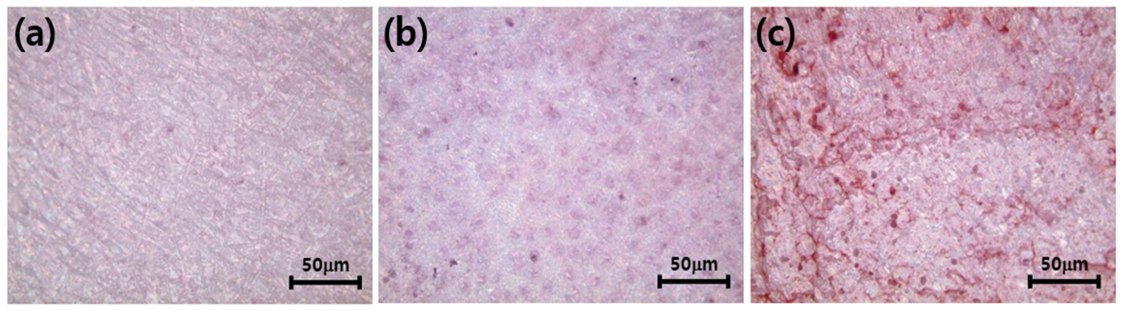 Coatings 12 01335 g012