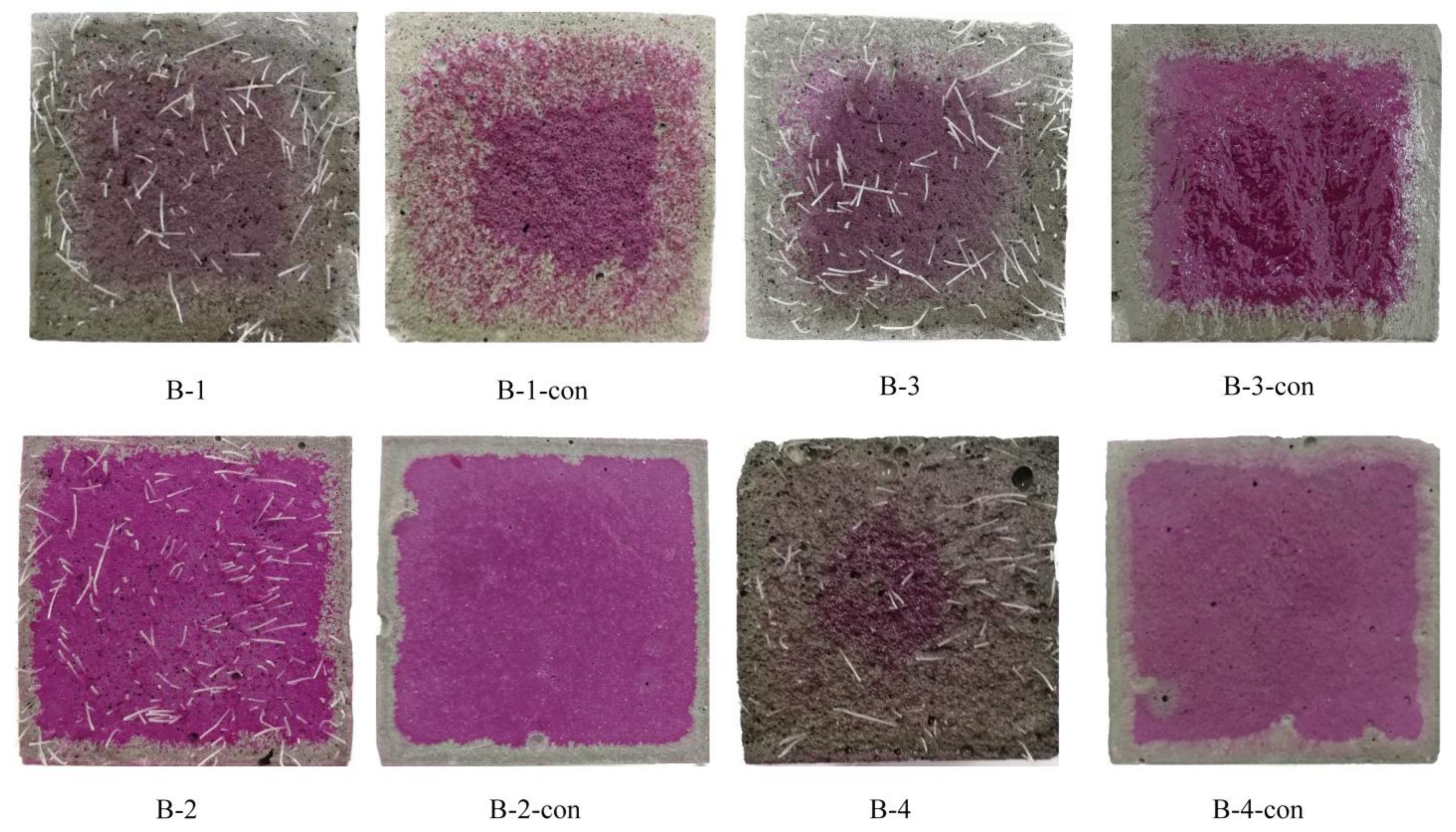 Coatings 12 01339 g005