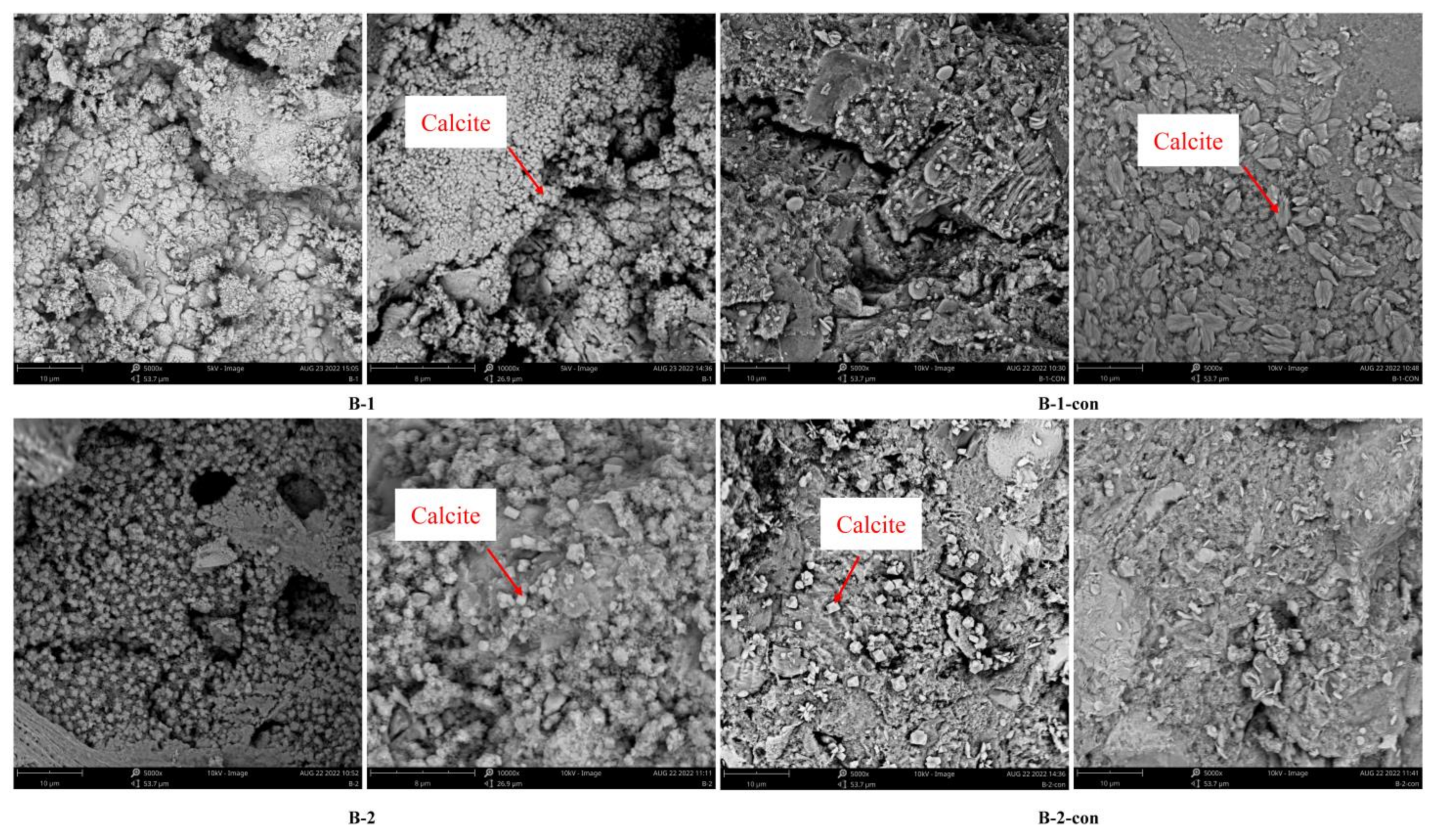 Coatings 12 01339 g014