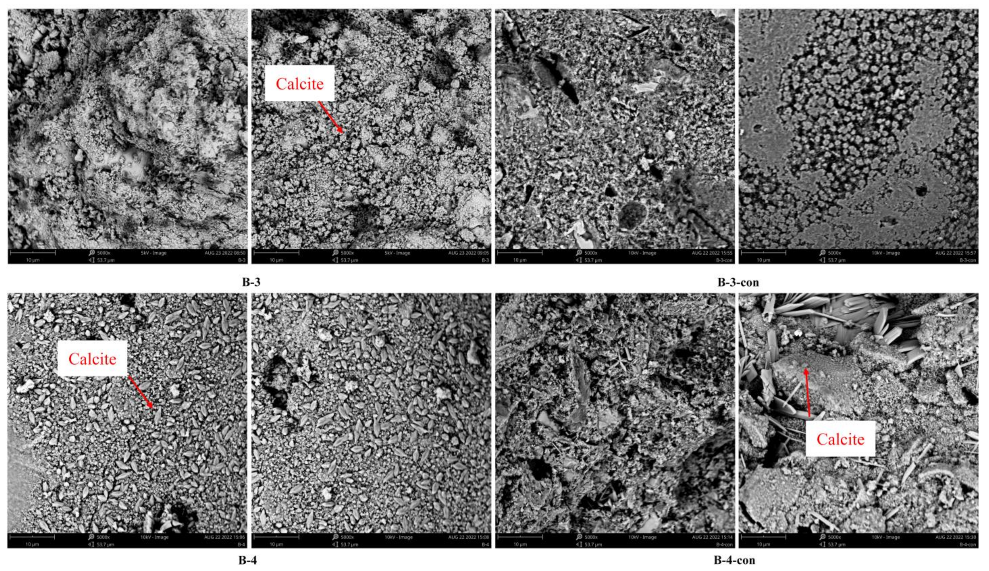 Coatings 12 01339 g015