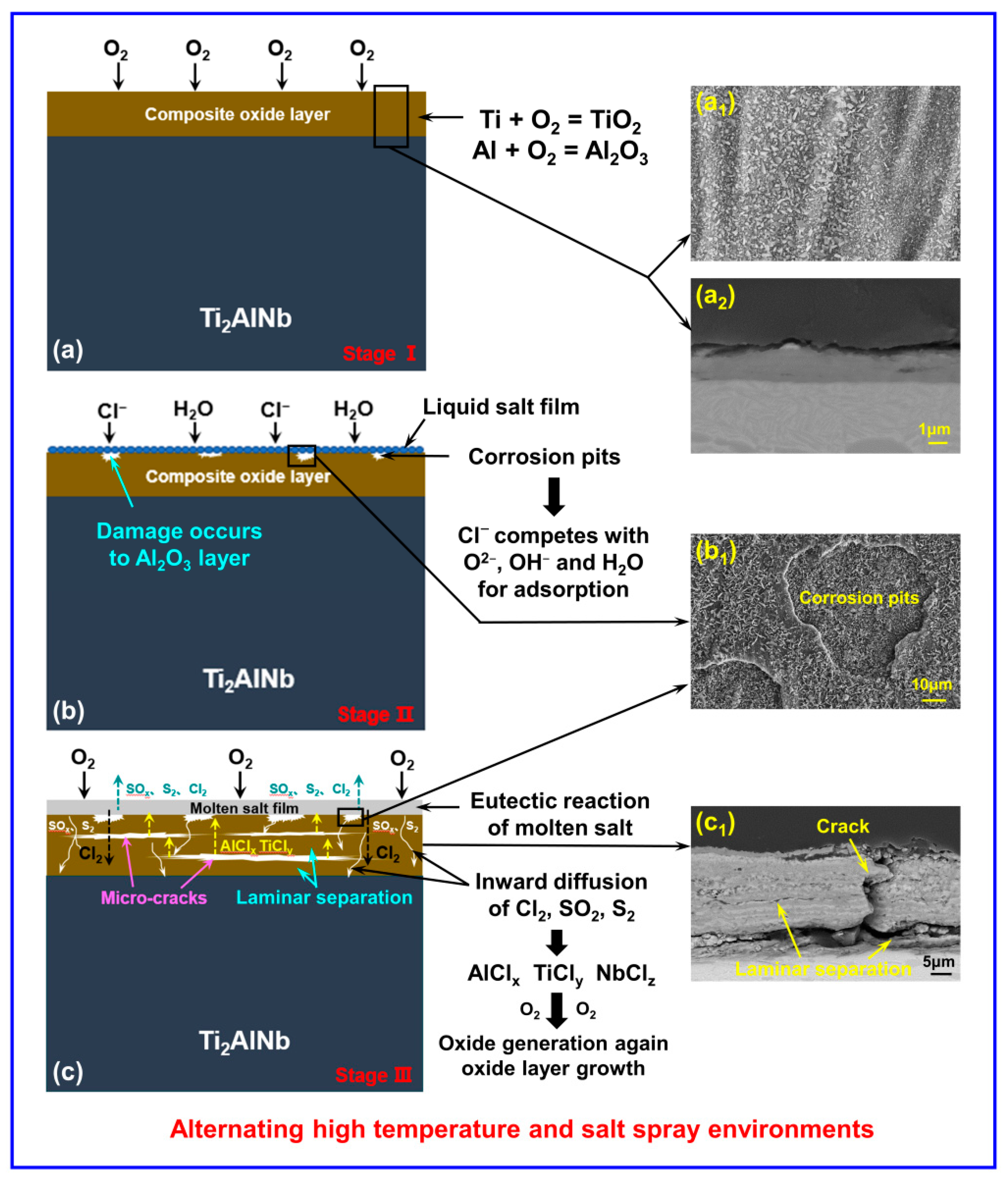 Coatings 12 01374 g009