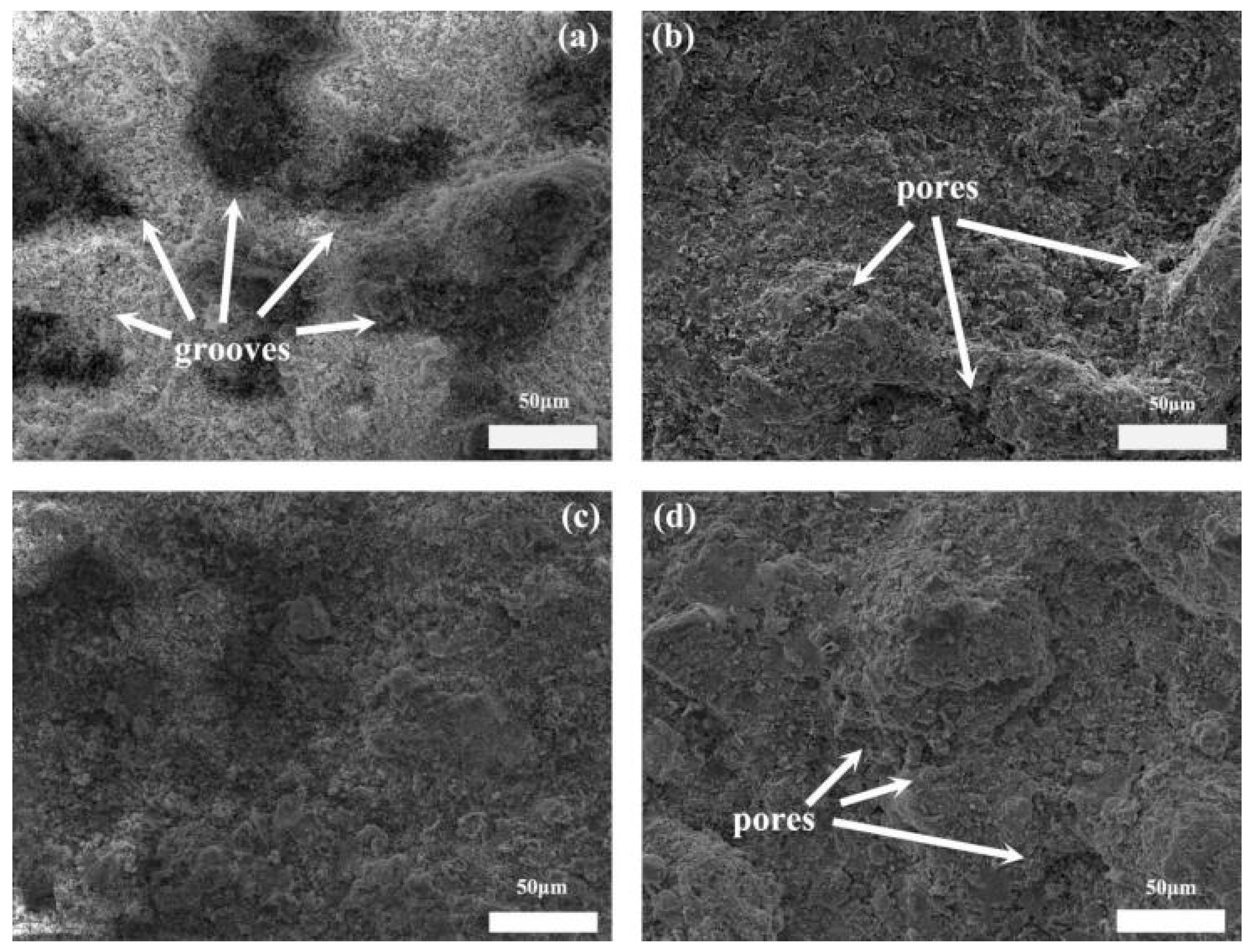 Coatings 12 01377 g003