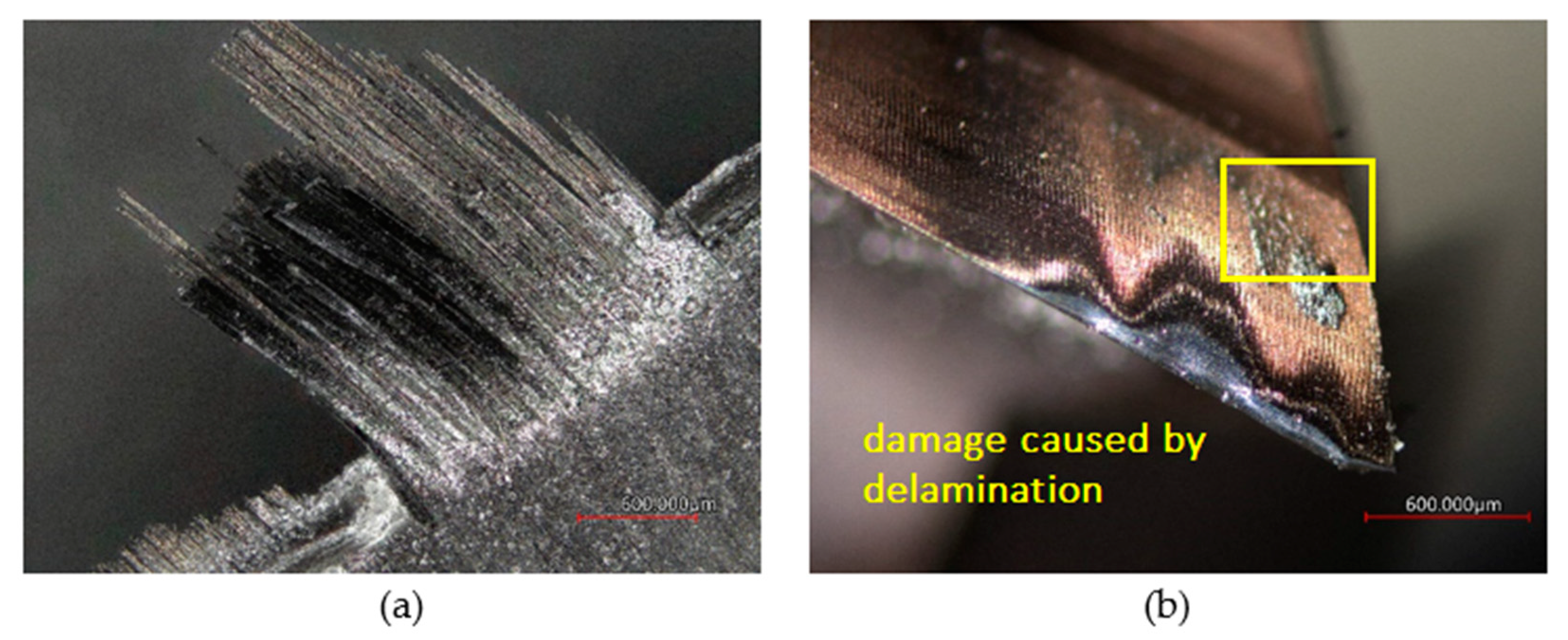 Coatings 12 01379 g007