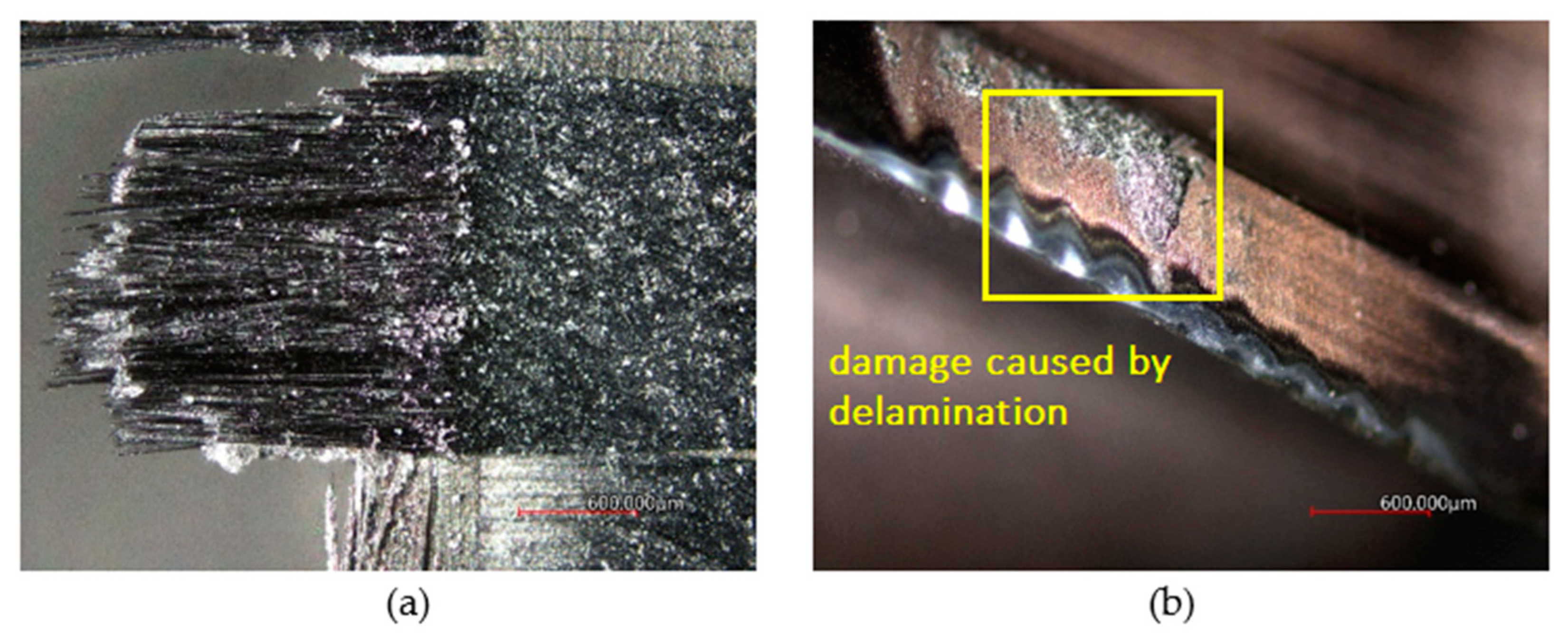 Coatings 12 01379 g008