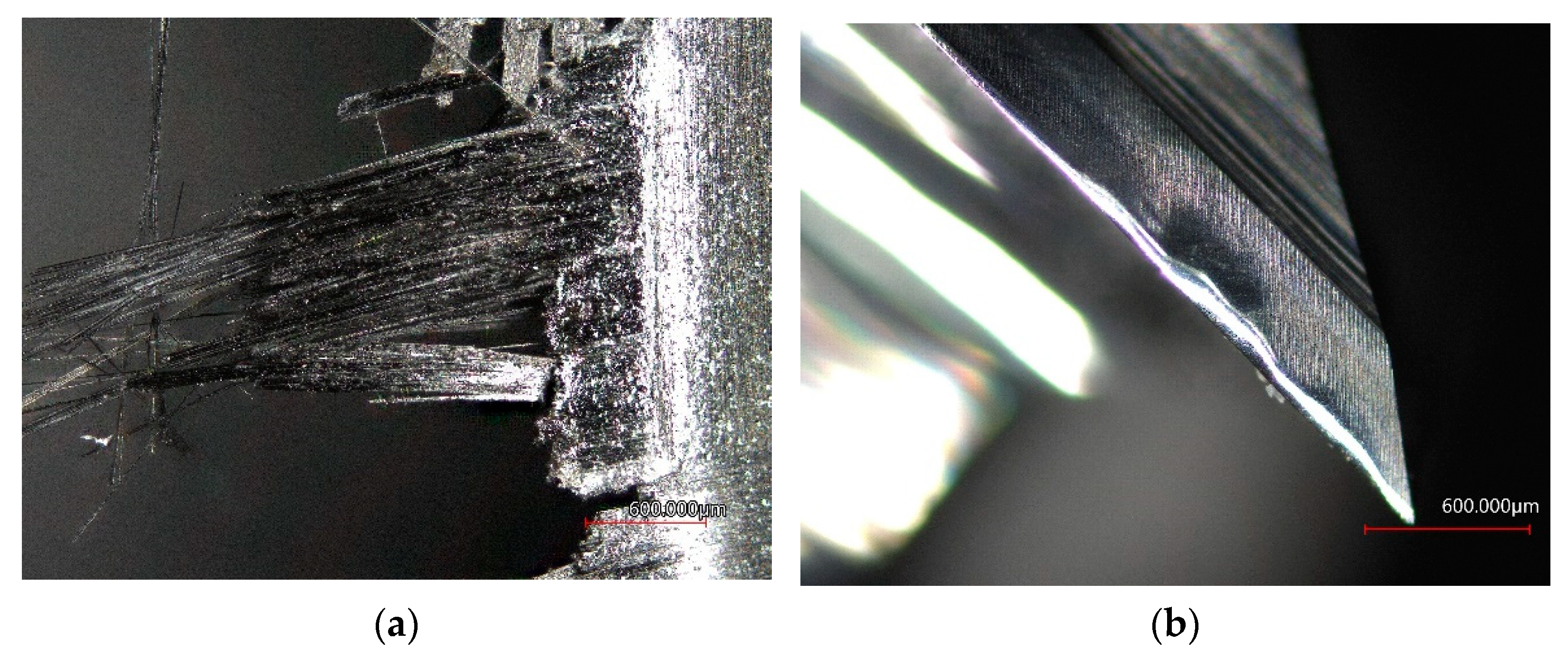 Coatings 12 01379 g009