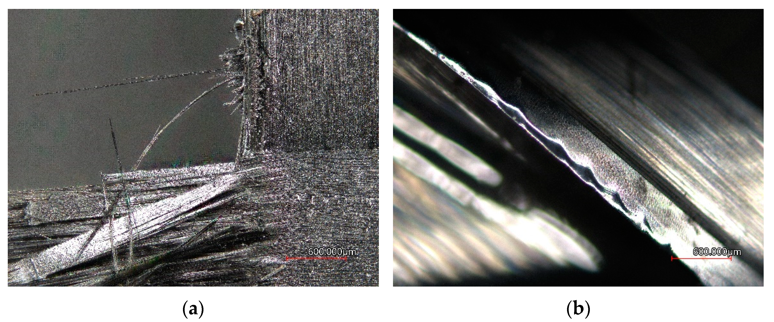 Coatings 12 01379 g010