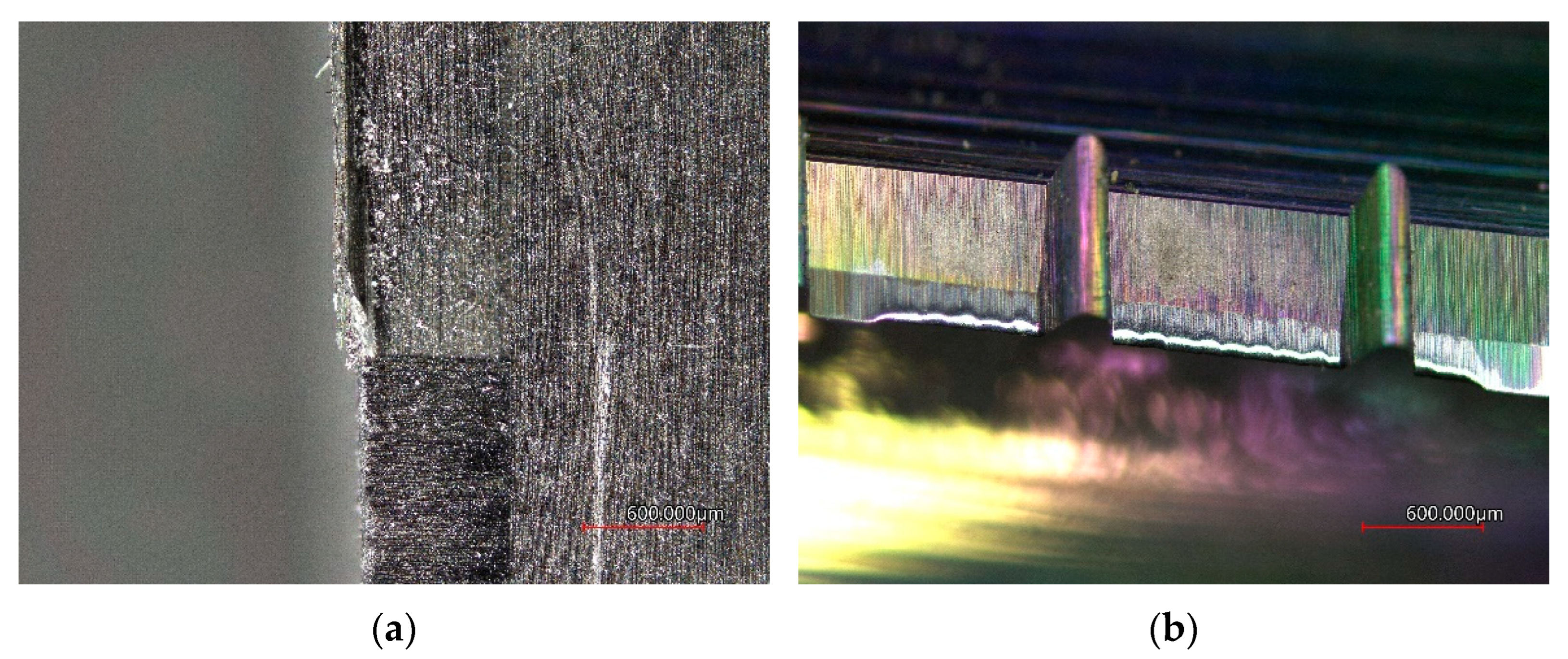 Coatings 12 01379 g012