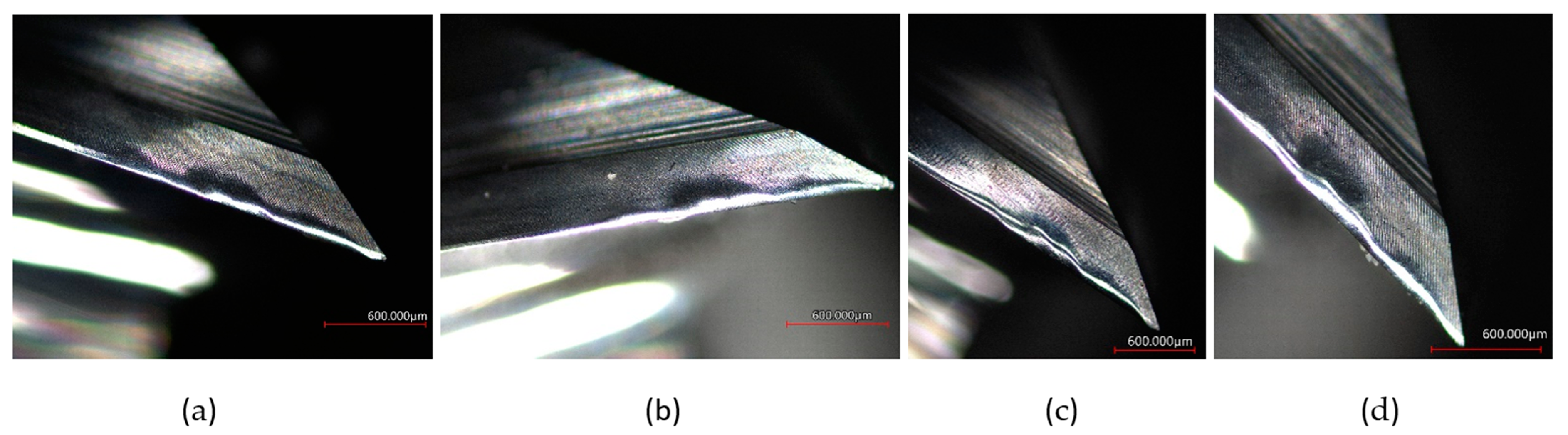 Coatings 12 01379 g025