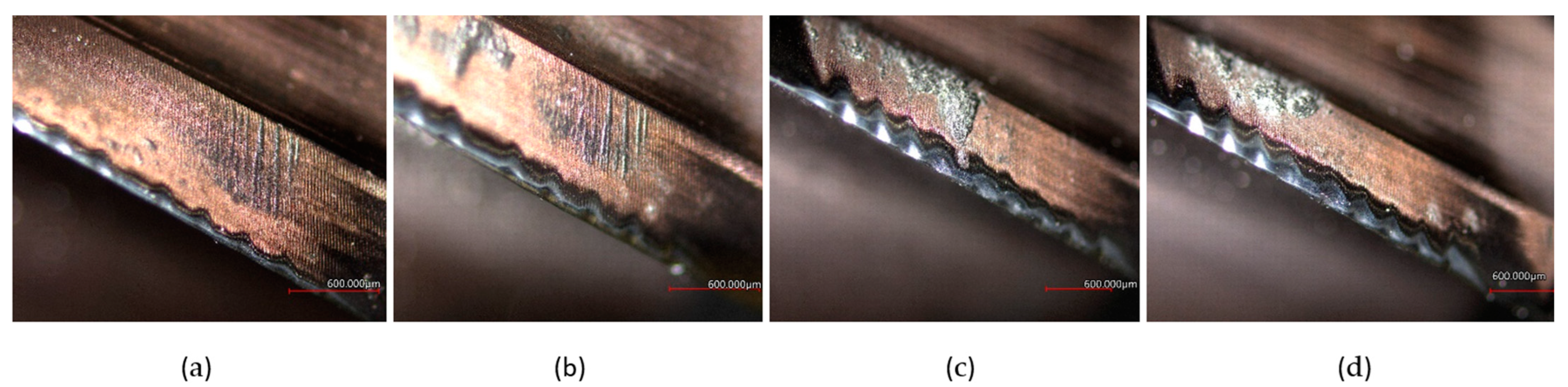 Coatings 12 01379 g028