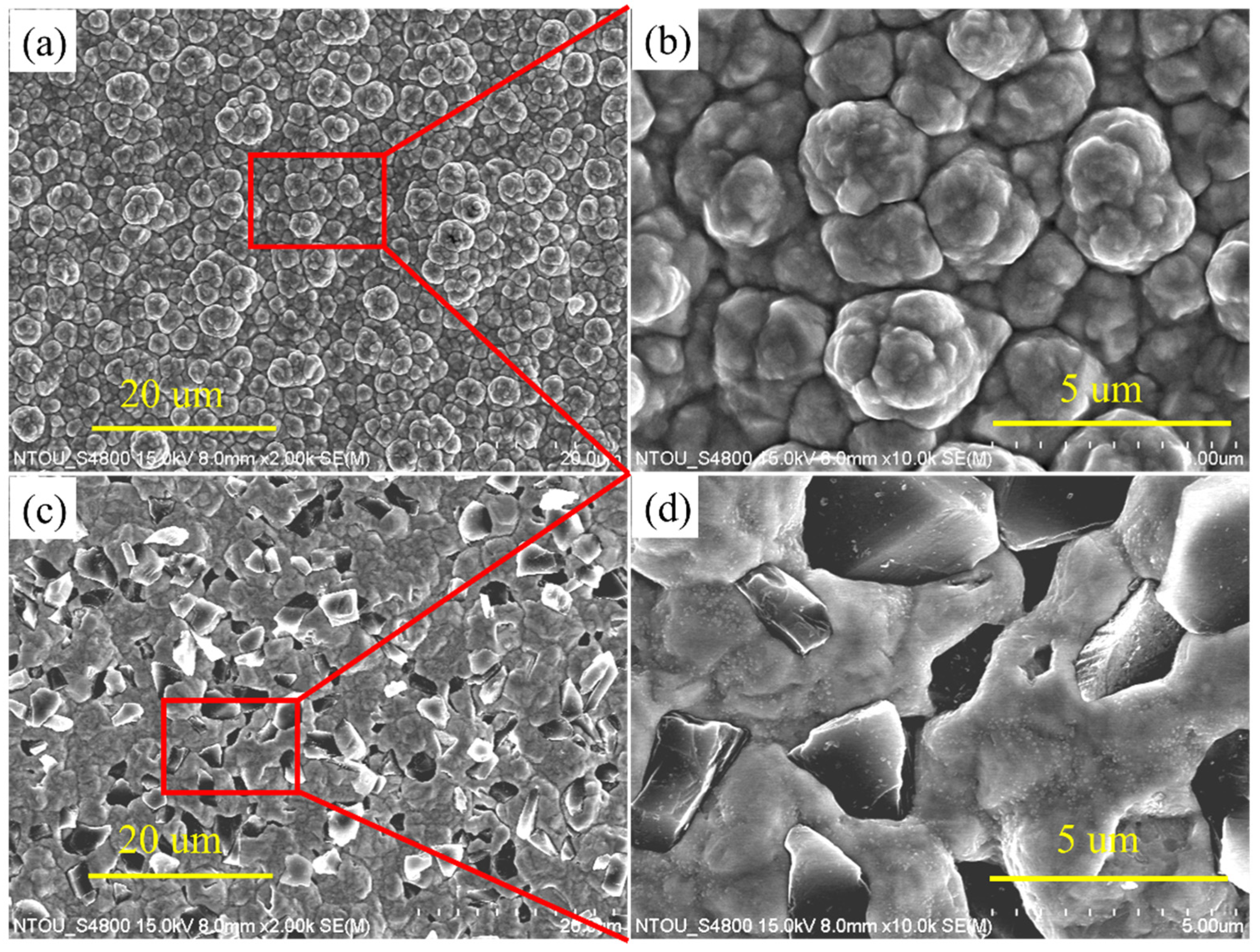 Coatings 12 01391 g002
