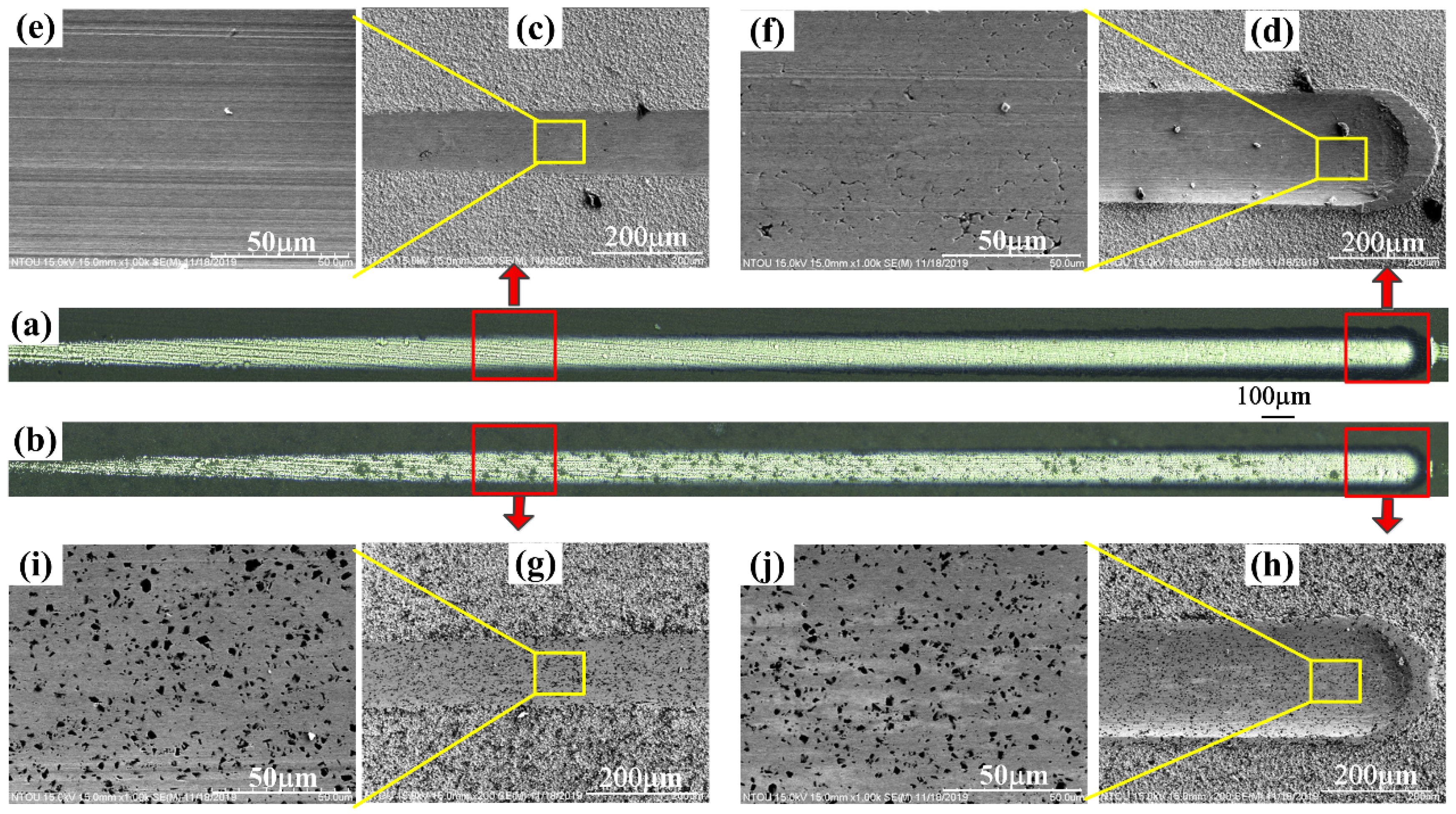 Coatings 12 01391 g007