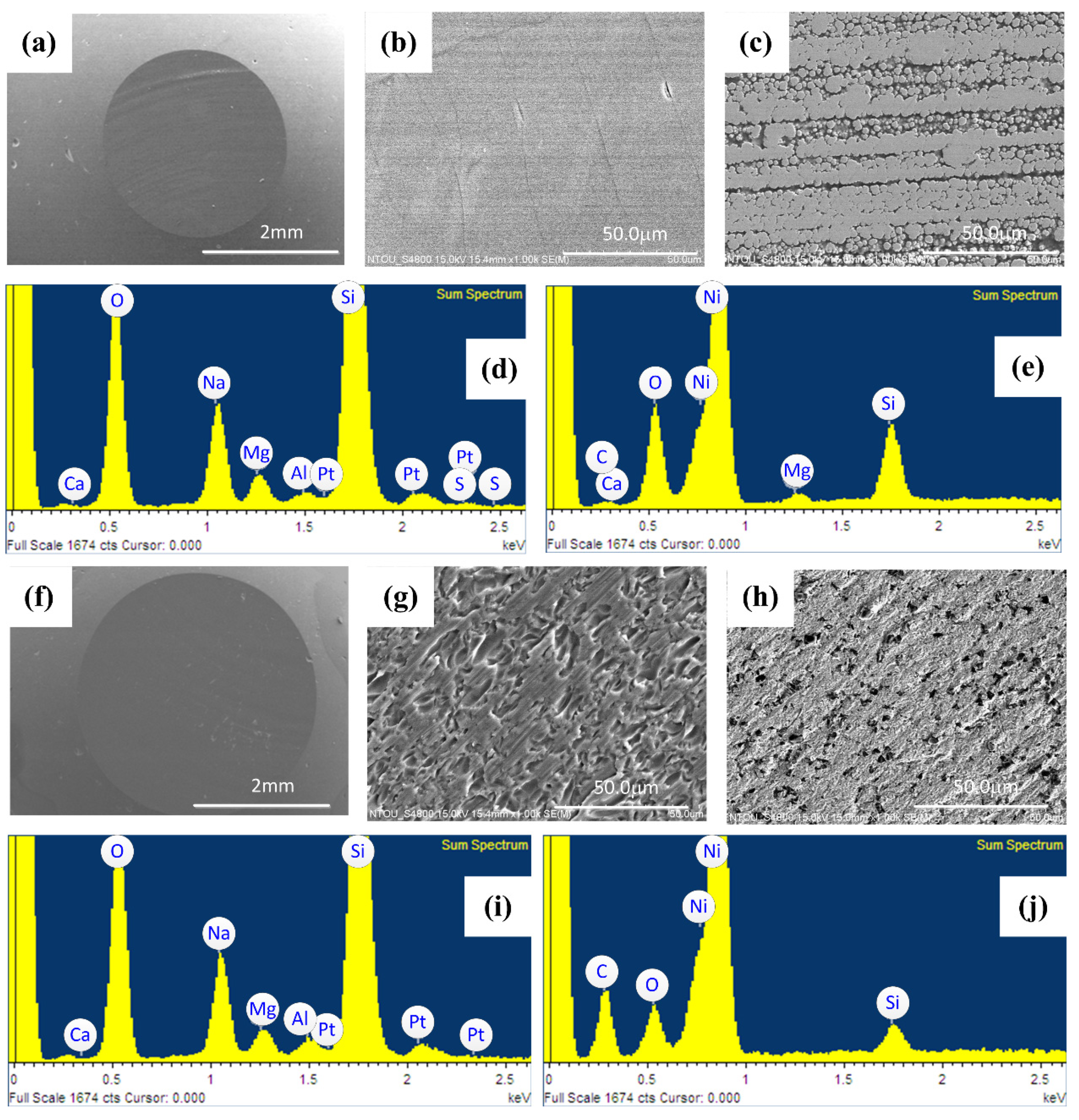 Coatings 12 01391 g008