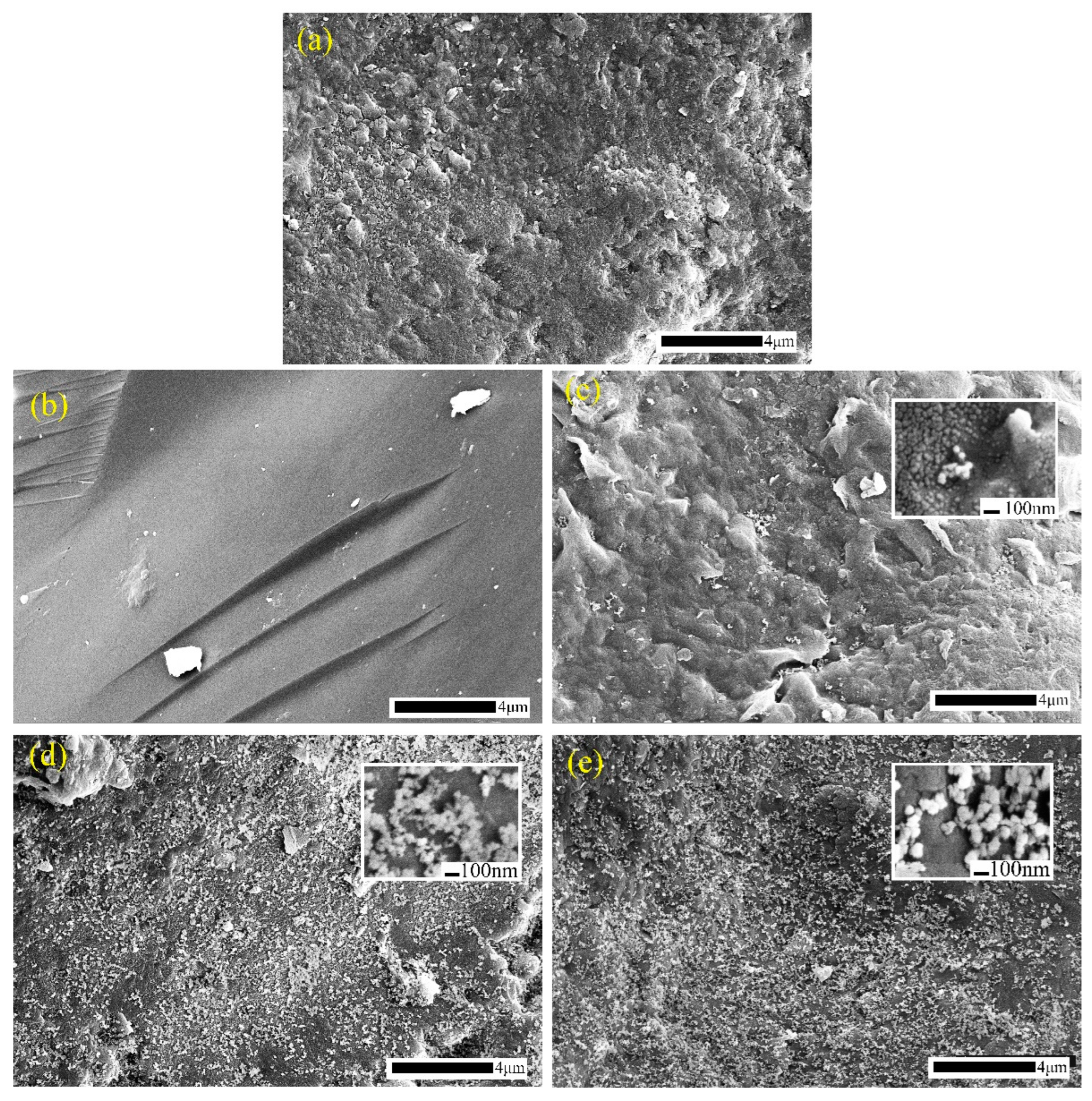 Coatings 12 01397 g004