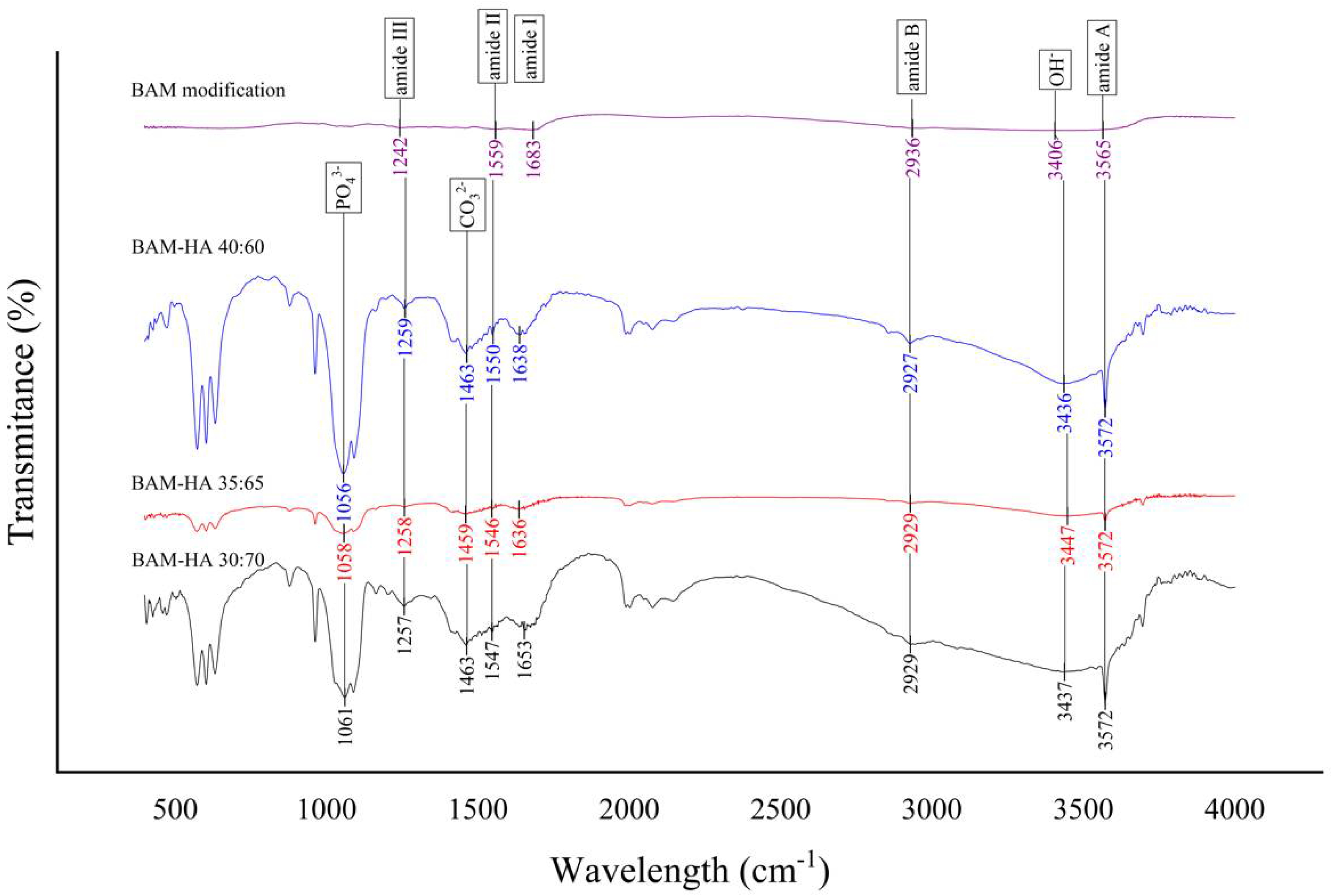 Coatings 12 01403 g002