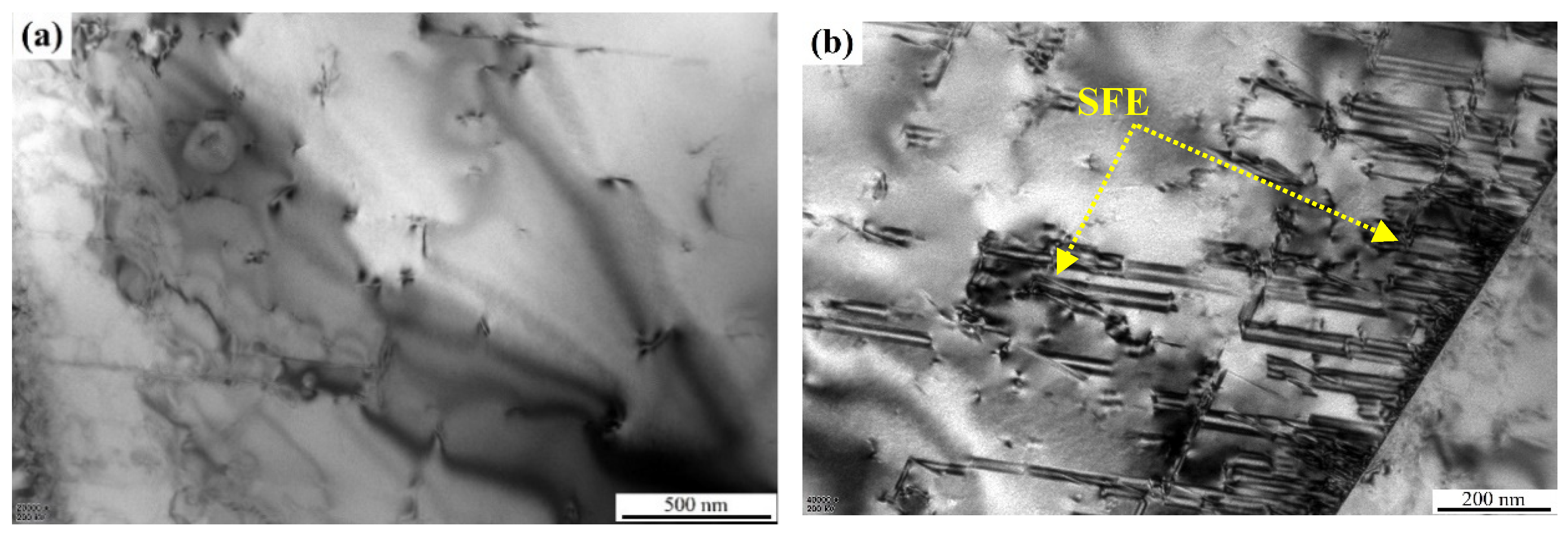 Coatings 12 01415 g003a Coatings 12 01415 g003a