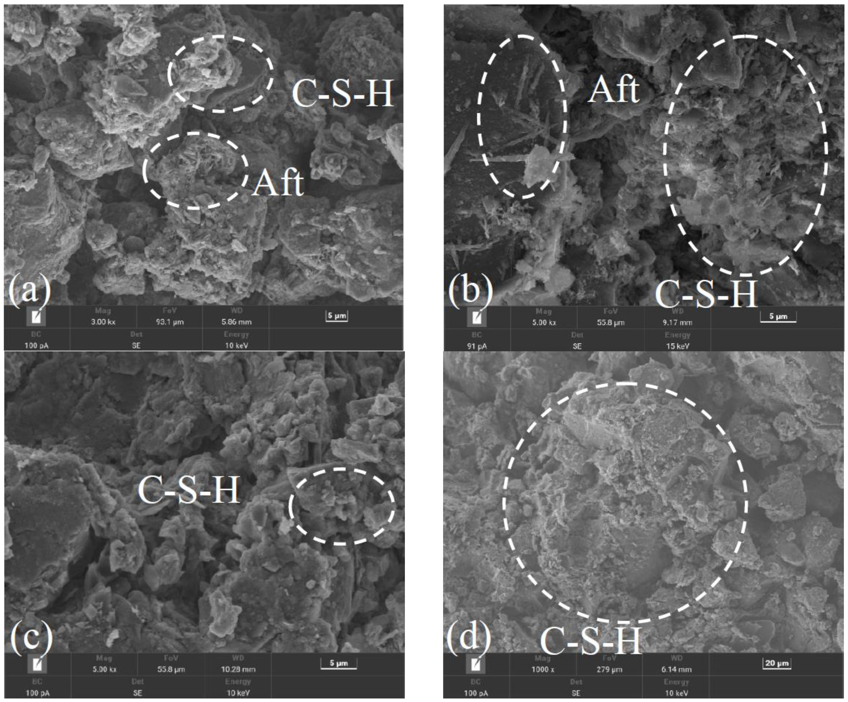 Coatings 12 01417 g011