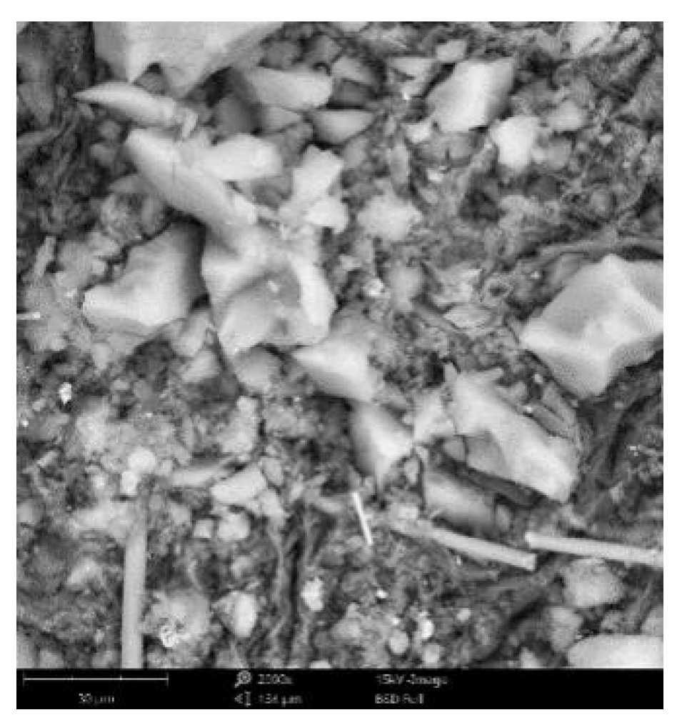 Coatings 12 01421 g004