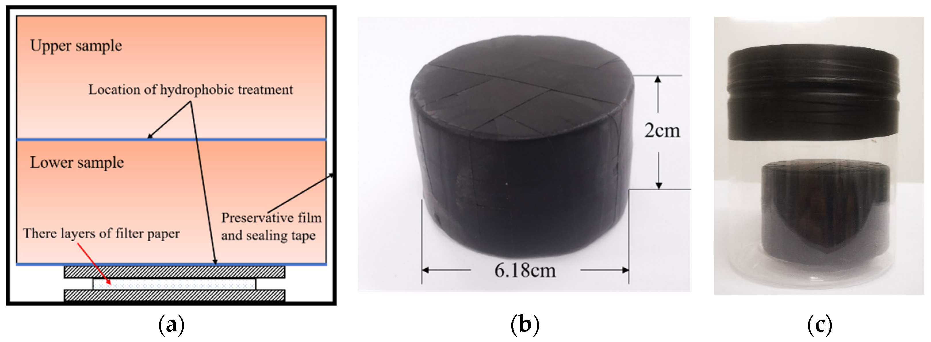 Coatings 12 01424 g002