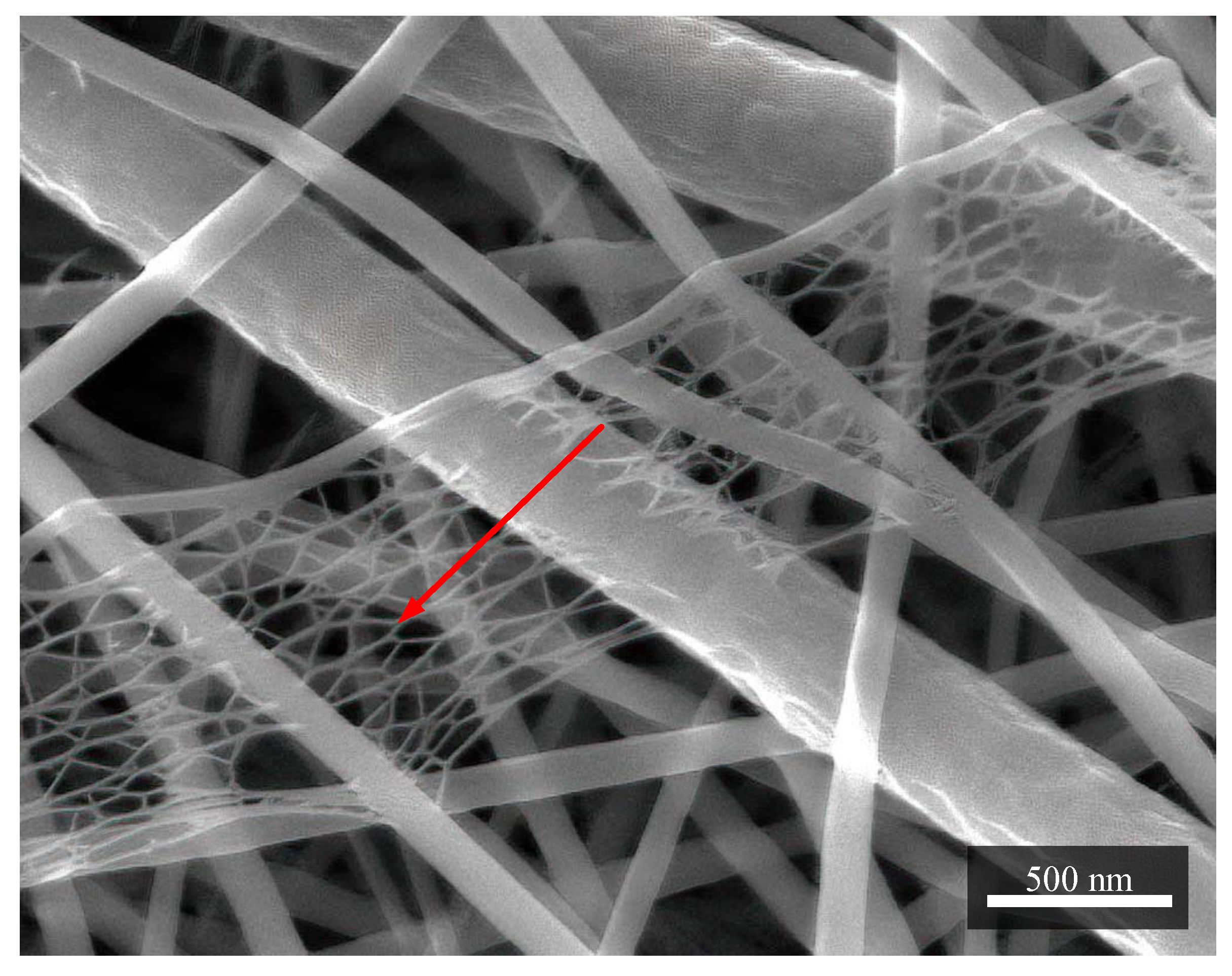 Coatings 12 01429 g004