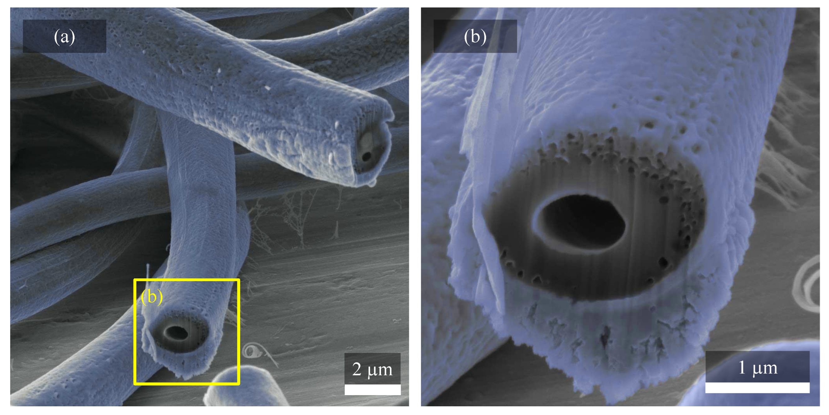 Coatings 12 01429 g005