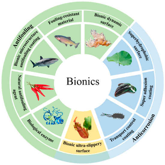 Coatings 12 01434 g001