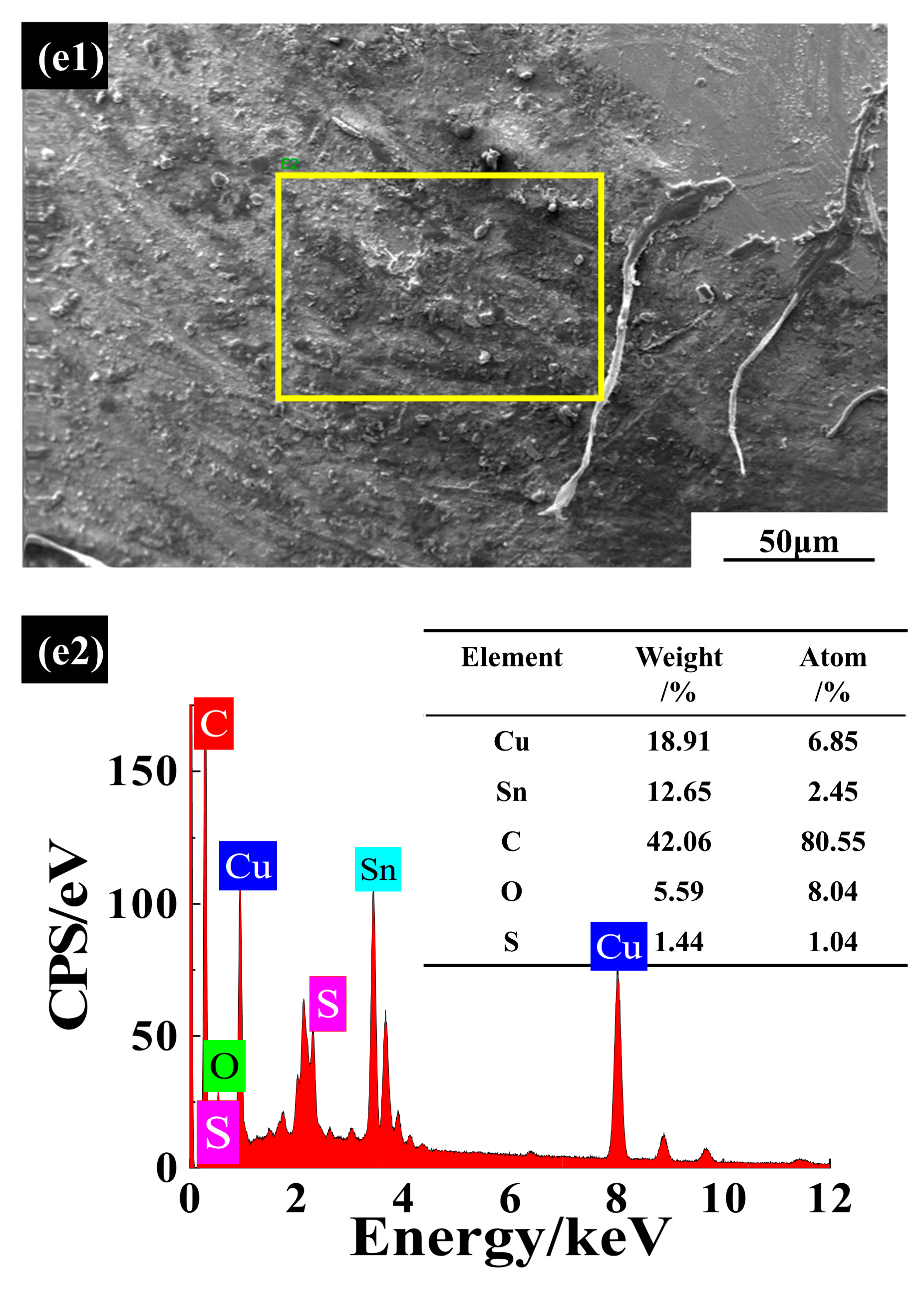 Coatings 12 01436 g007b