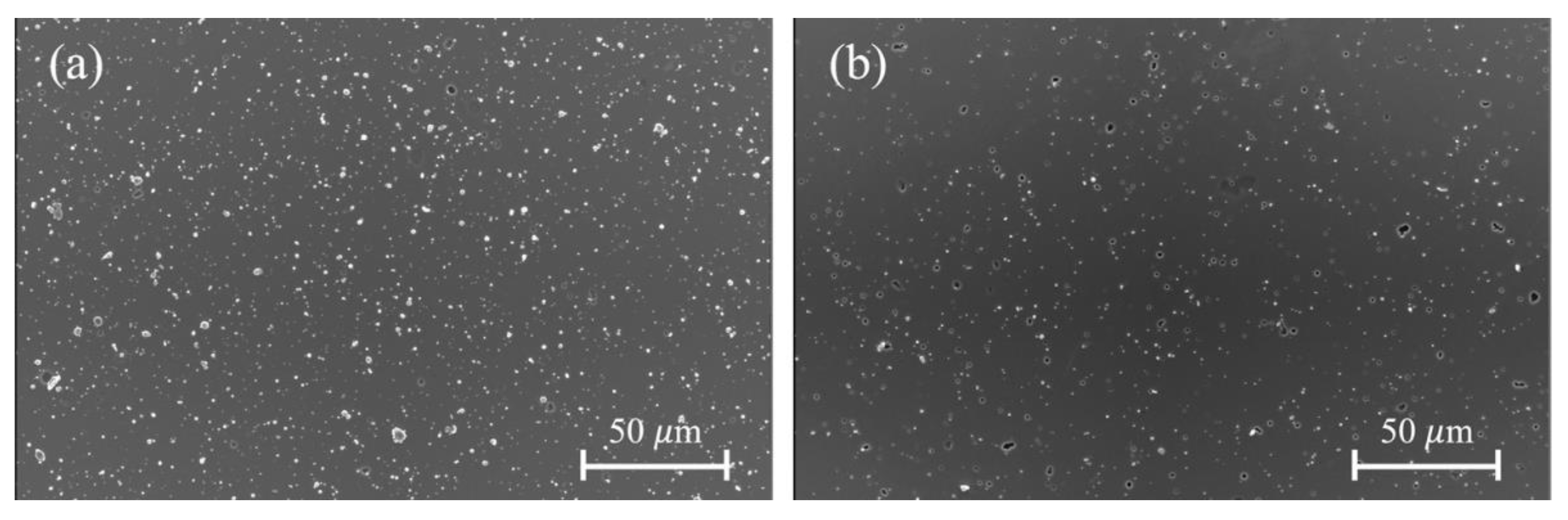 Coatings 12 01437 g007