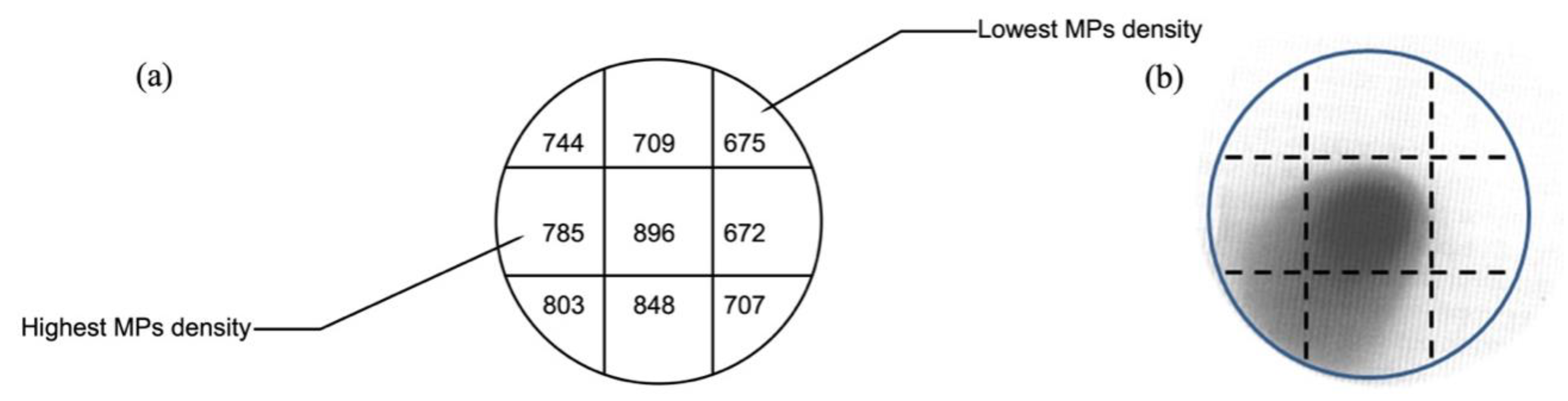Coatings 12 01437 g008