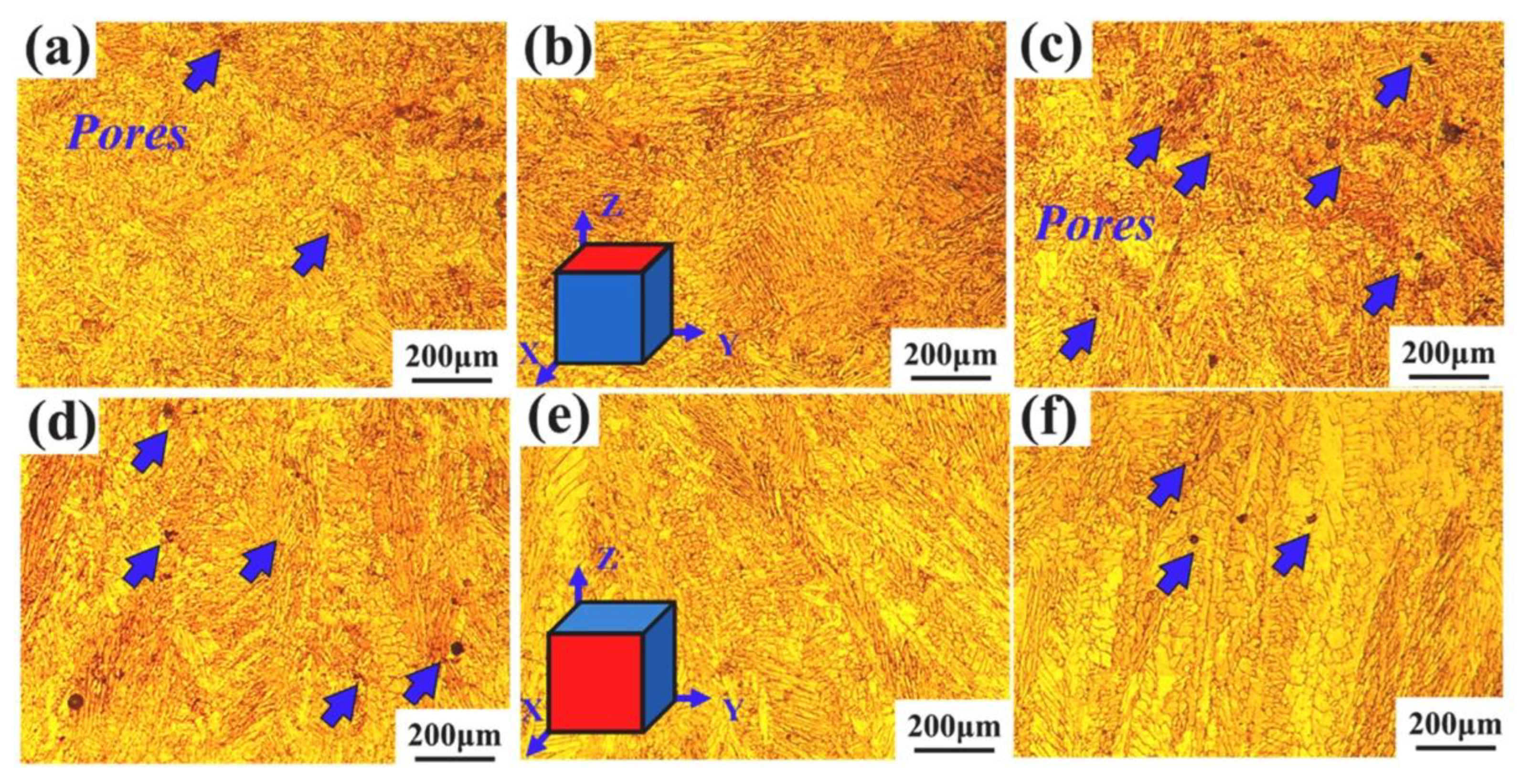 Coatings 12 01444 g003