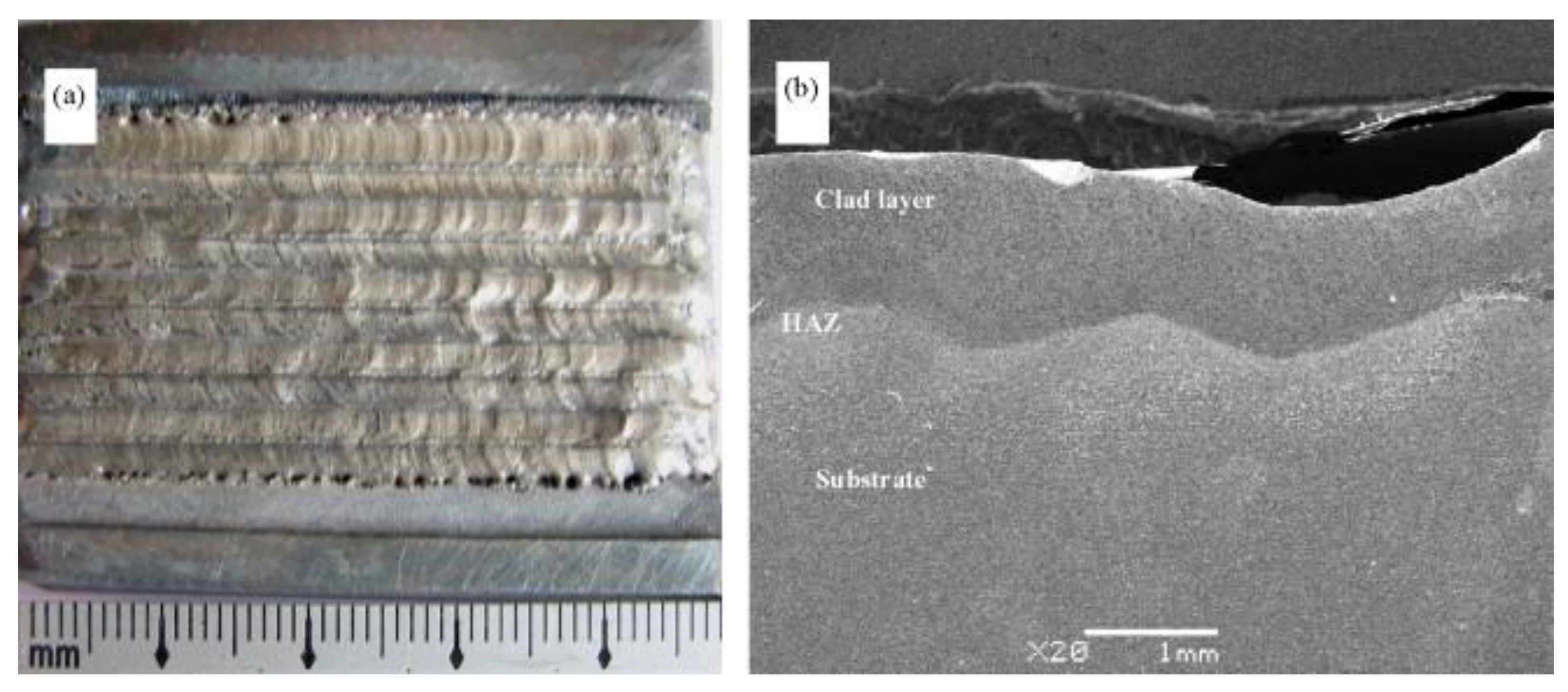 Coatings 12 01444 g005