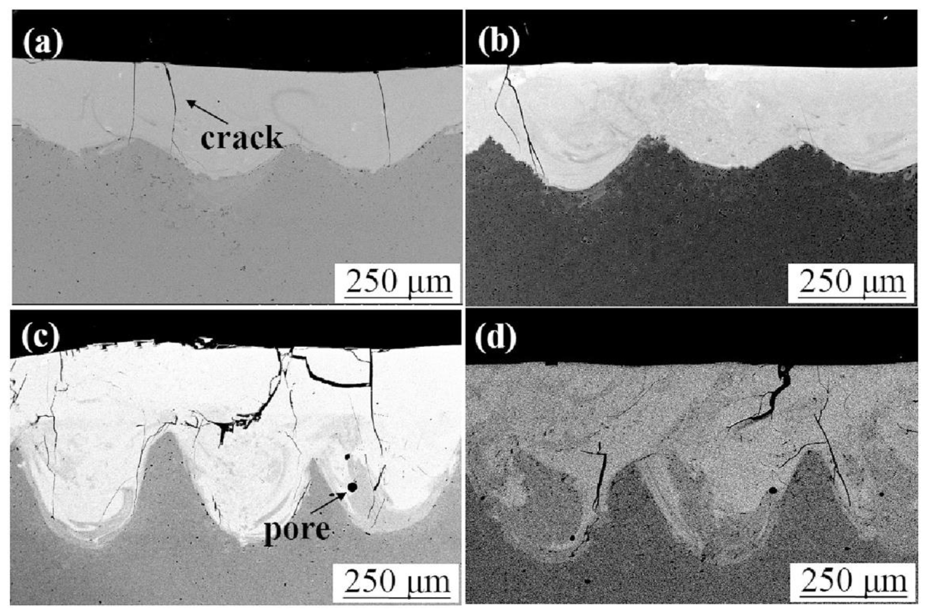 Coatings 12 01444 g008